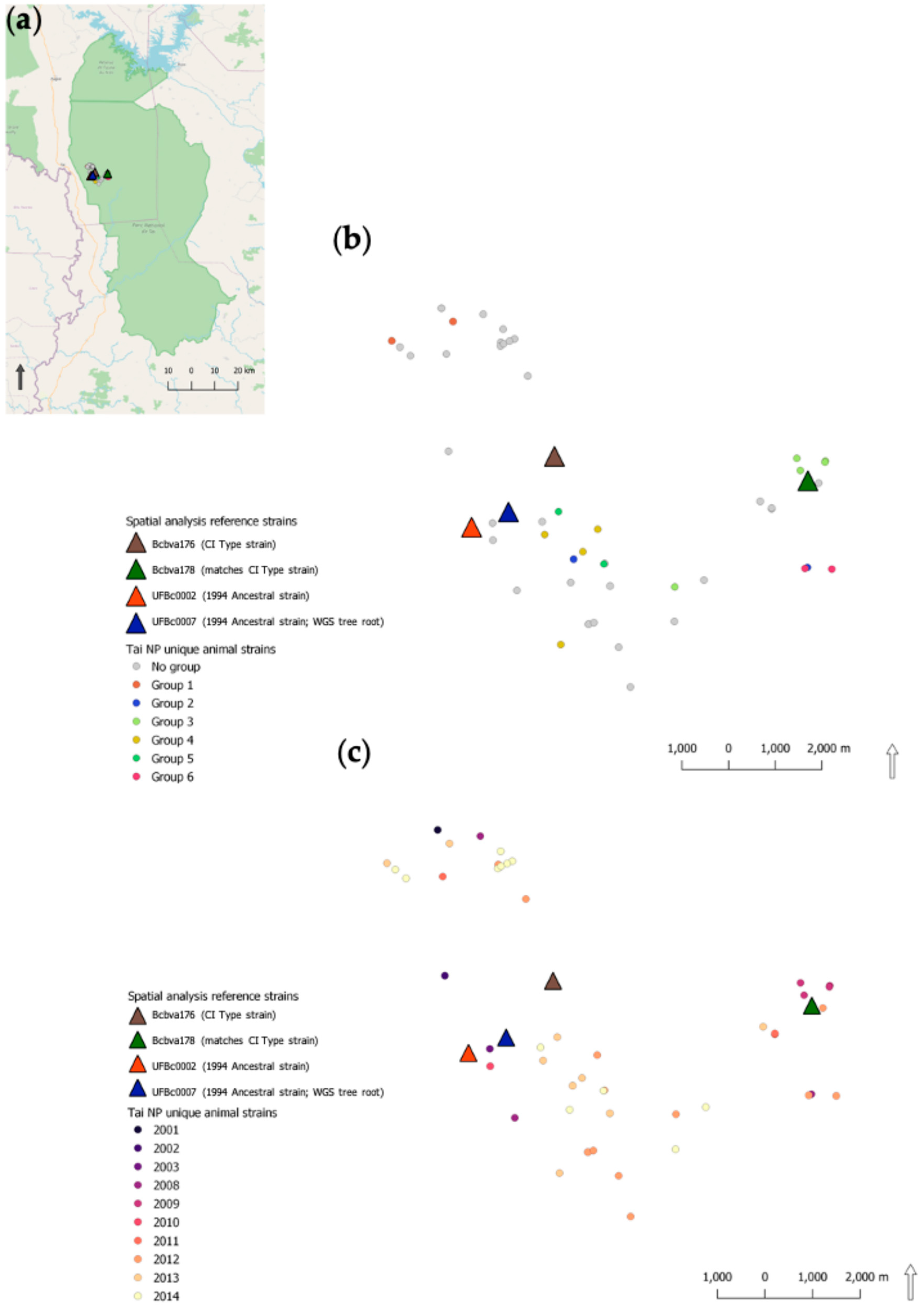Pathogens 12 01065 g006