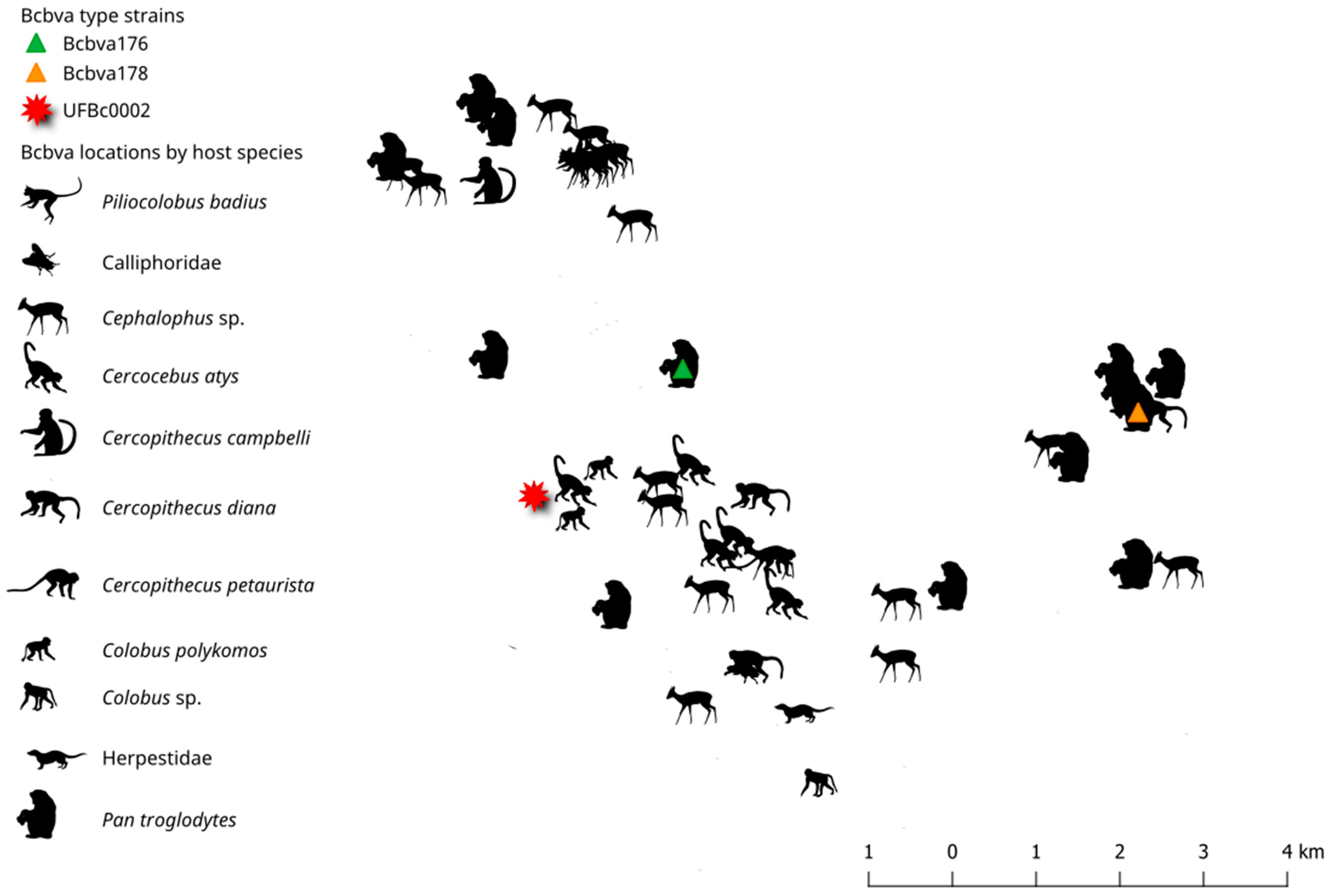 Pathogens 12 01065 g007