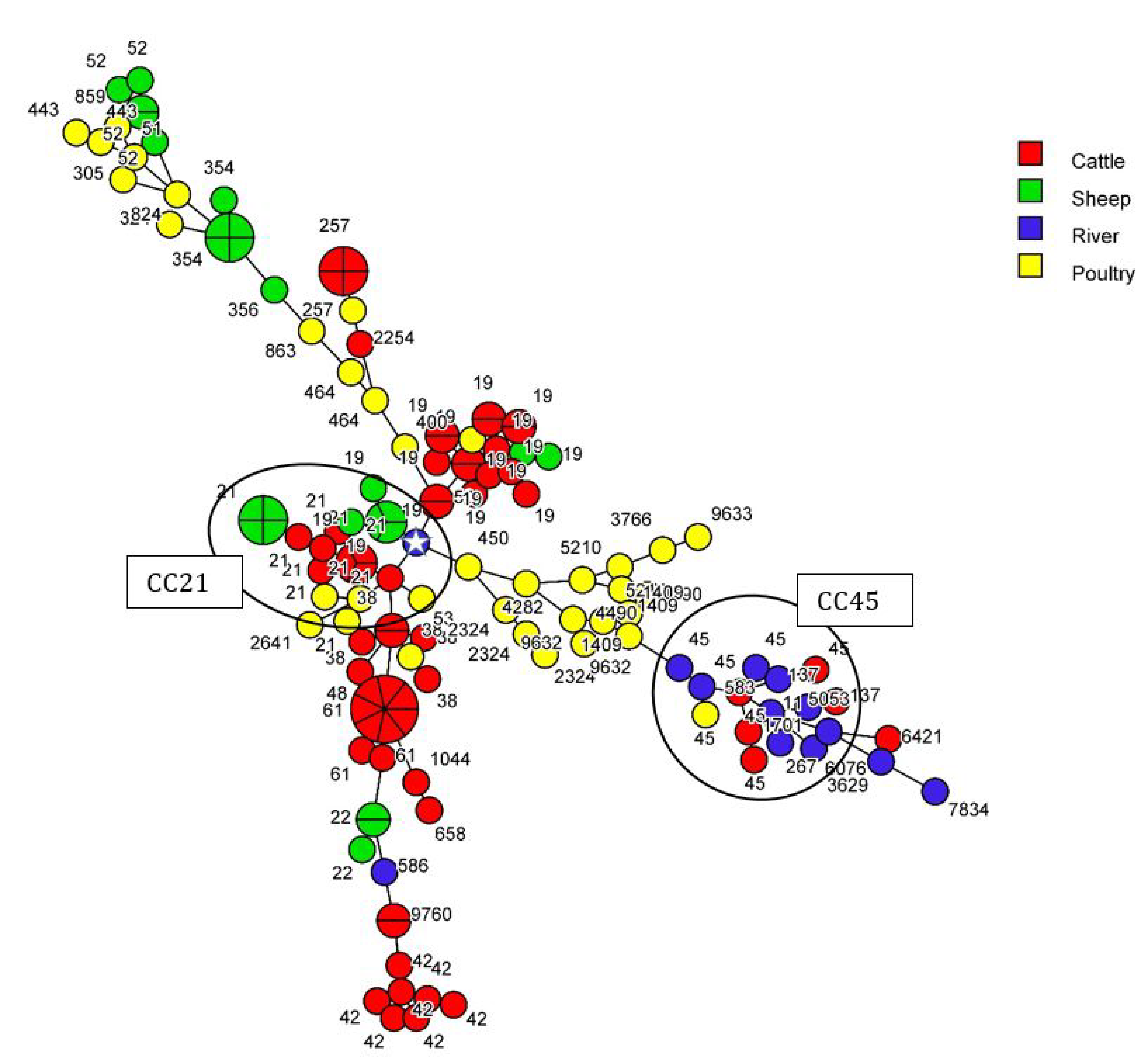 Pathogens 12 01069 g001