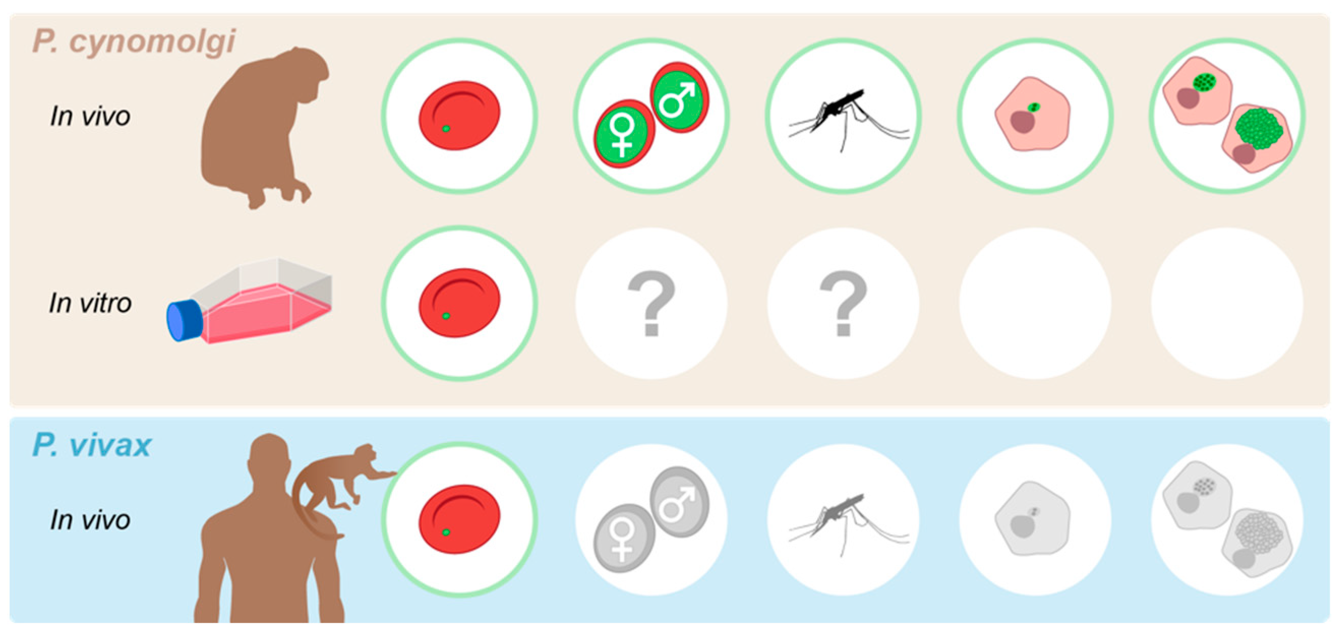 Pathogens 12 01070 g002