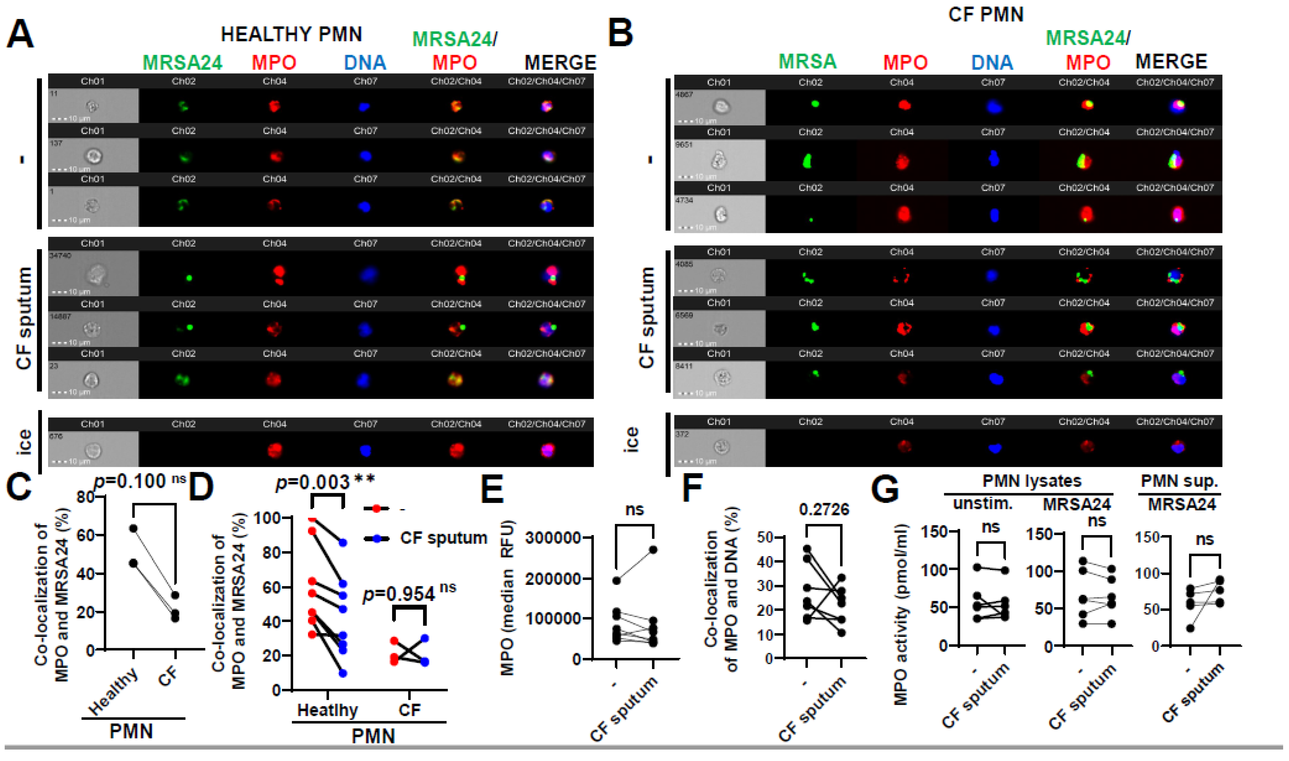 Pathogens 12 01148 g005