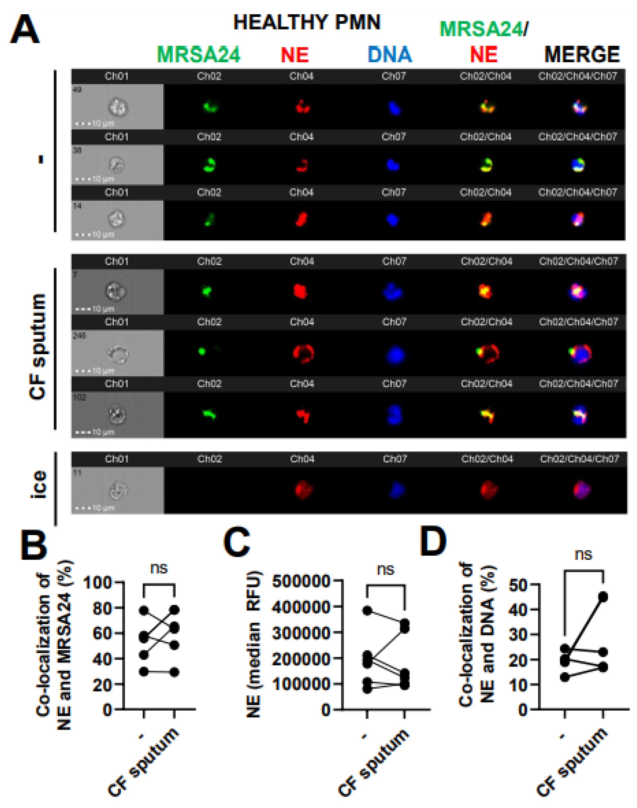 Pathogens 12 01148 g006