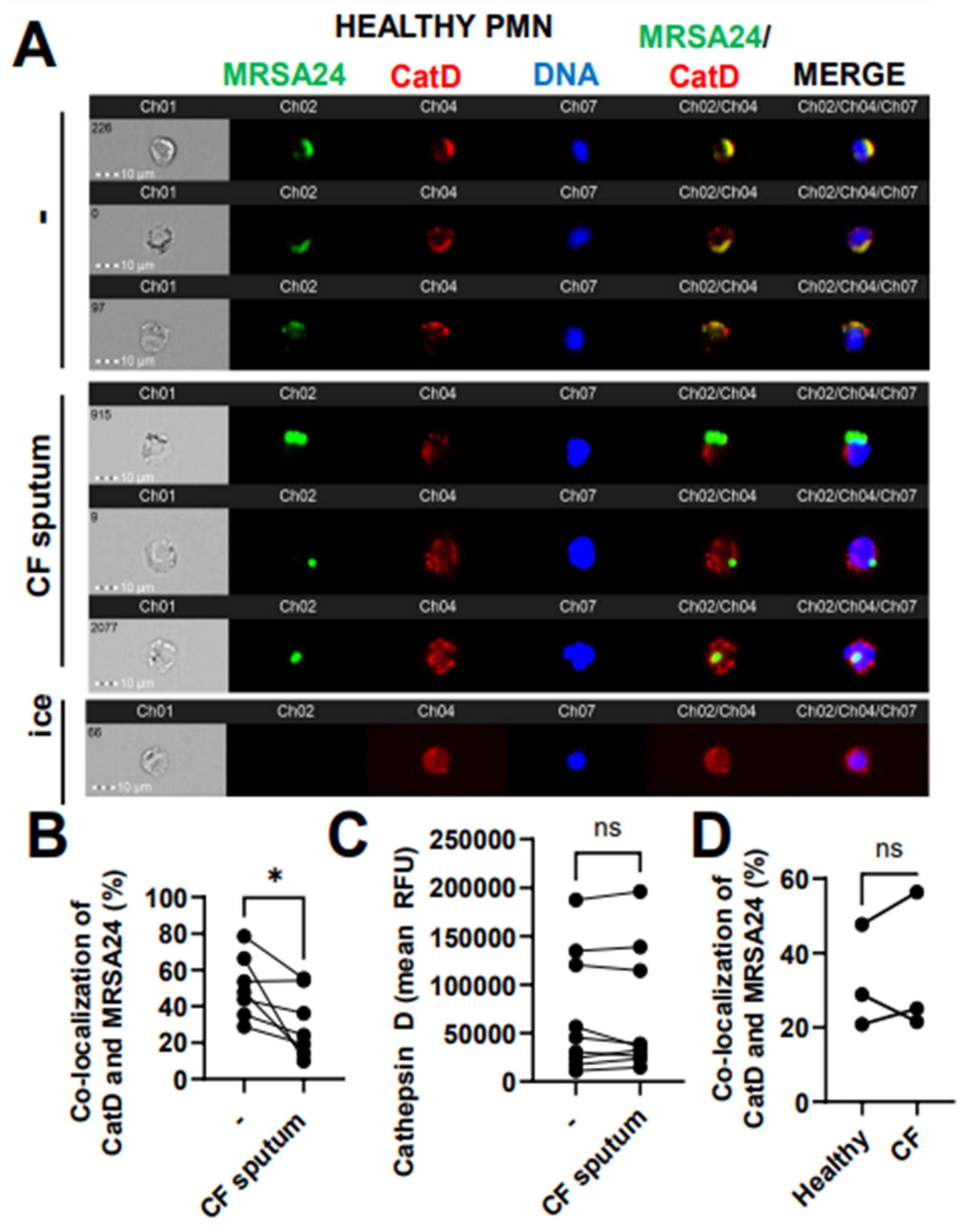 Pathogens 12 01148 g007