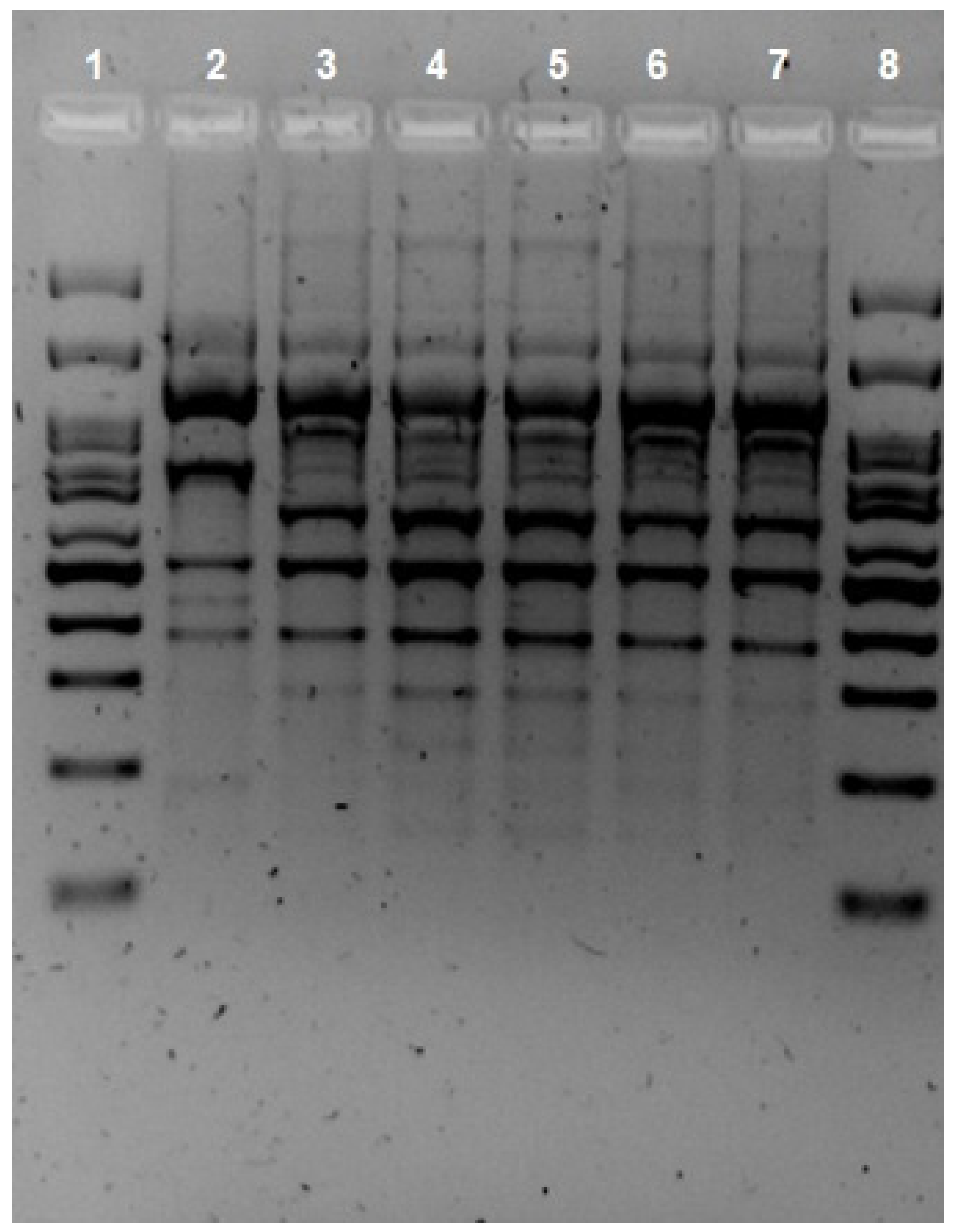 Pathogens 12 01151 g001