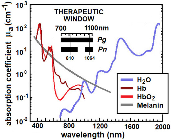 Pathogens | Free Full-Text | Photoinactivation and Photoablation