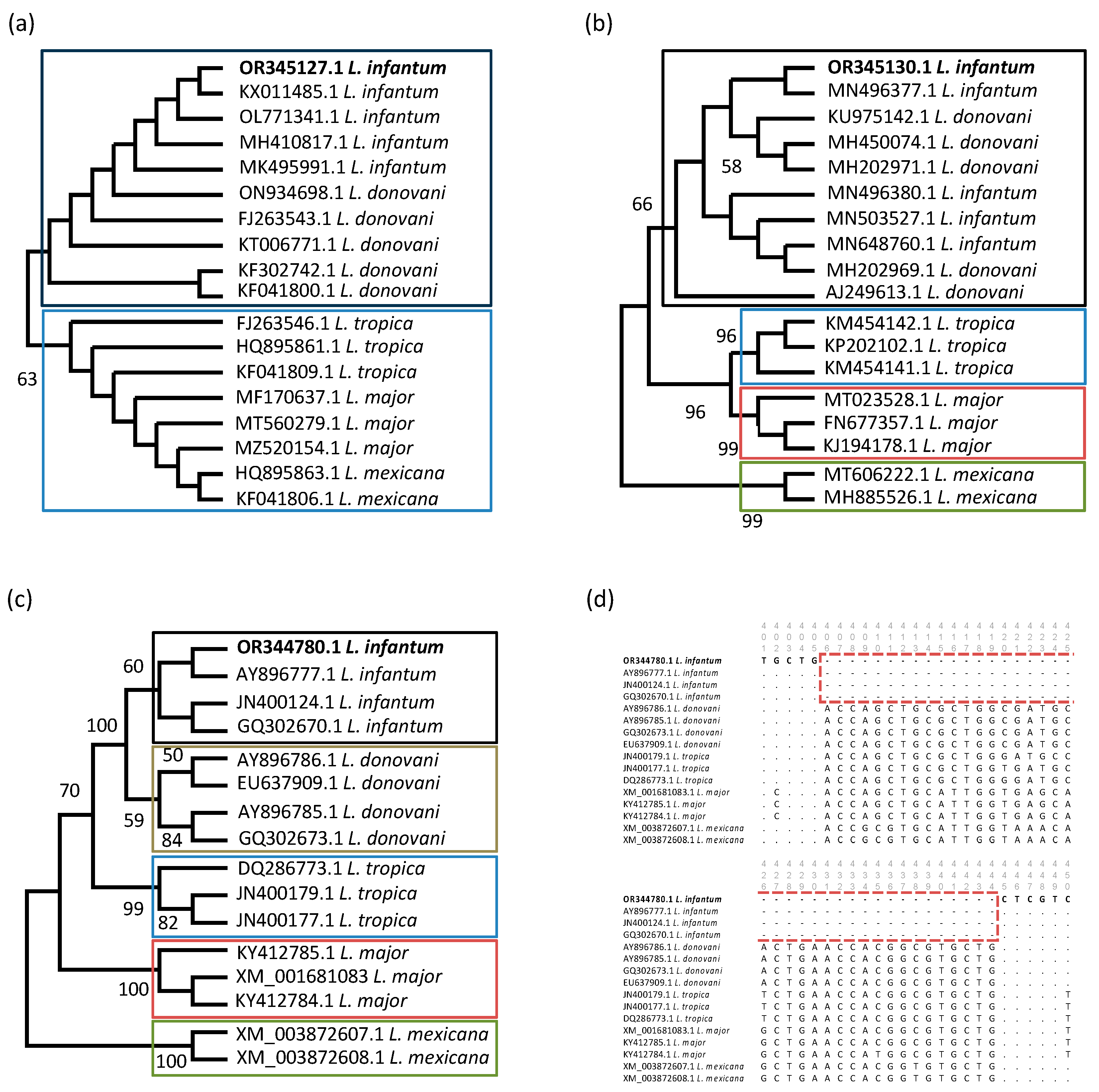 Pathogens | Free Full-Text | First Detection And Molecular Analysis Of ...