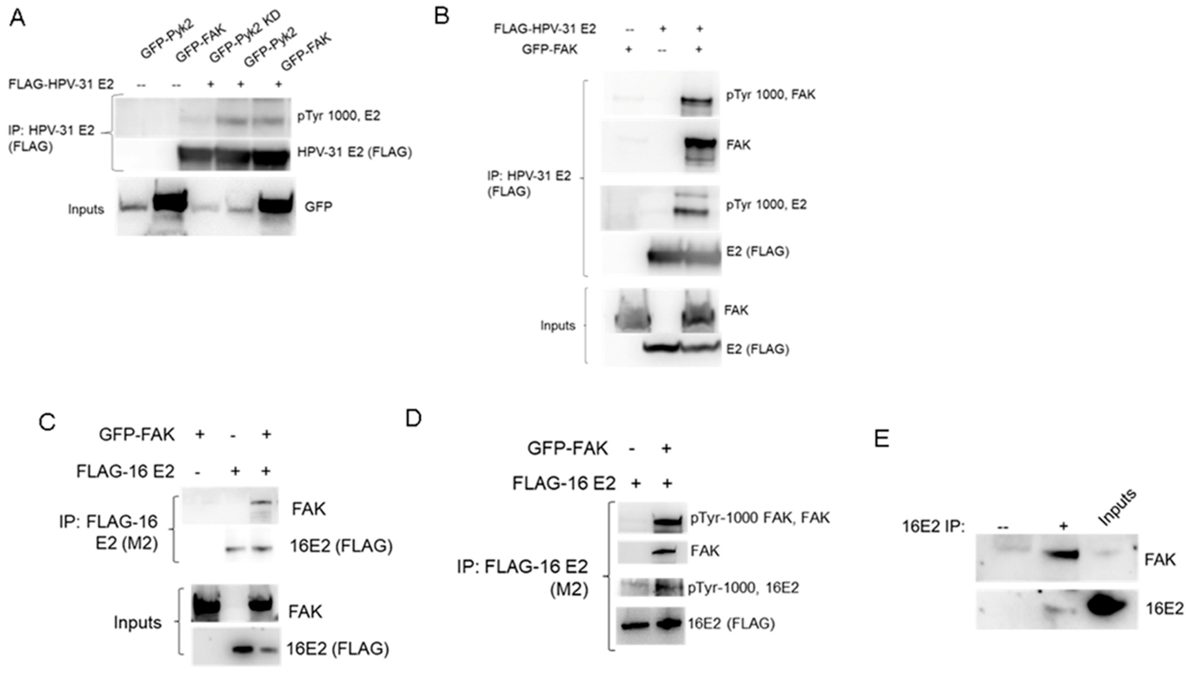 Pathogens 12 01203 g001