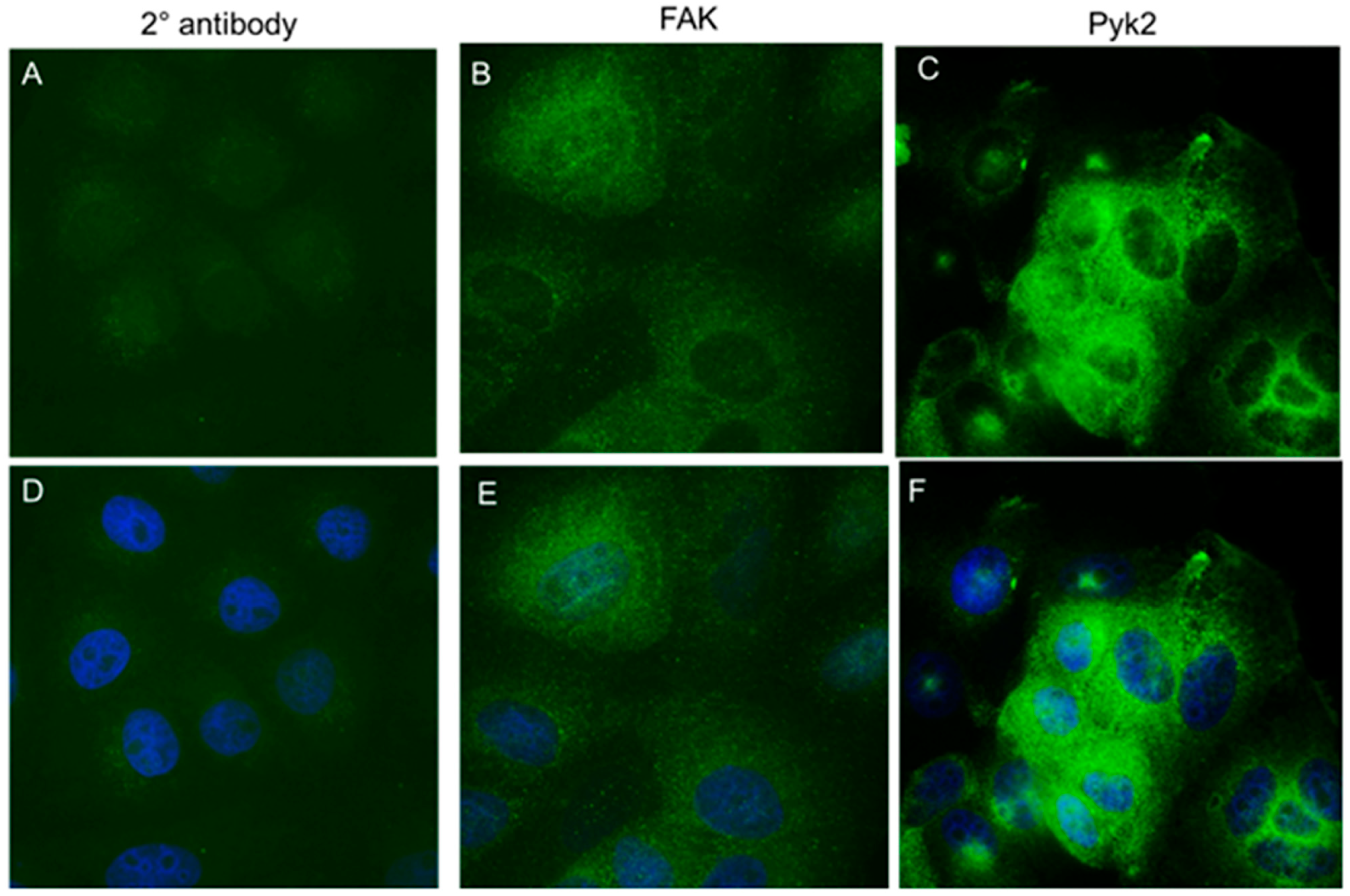 Pathogens 12 01203 g002