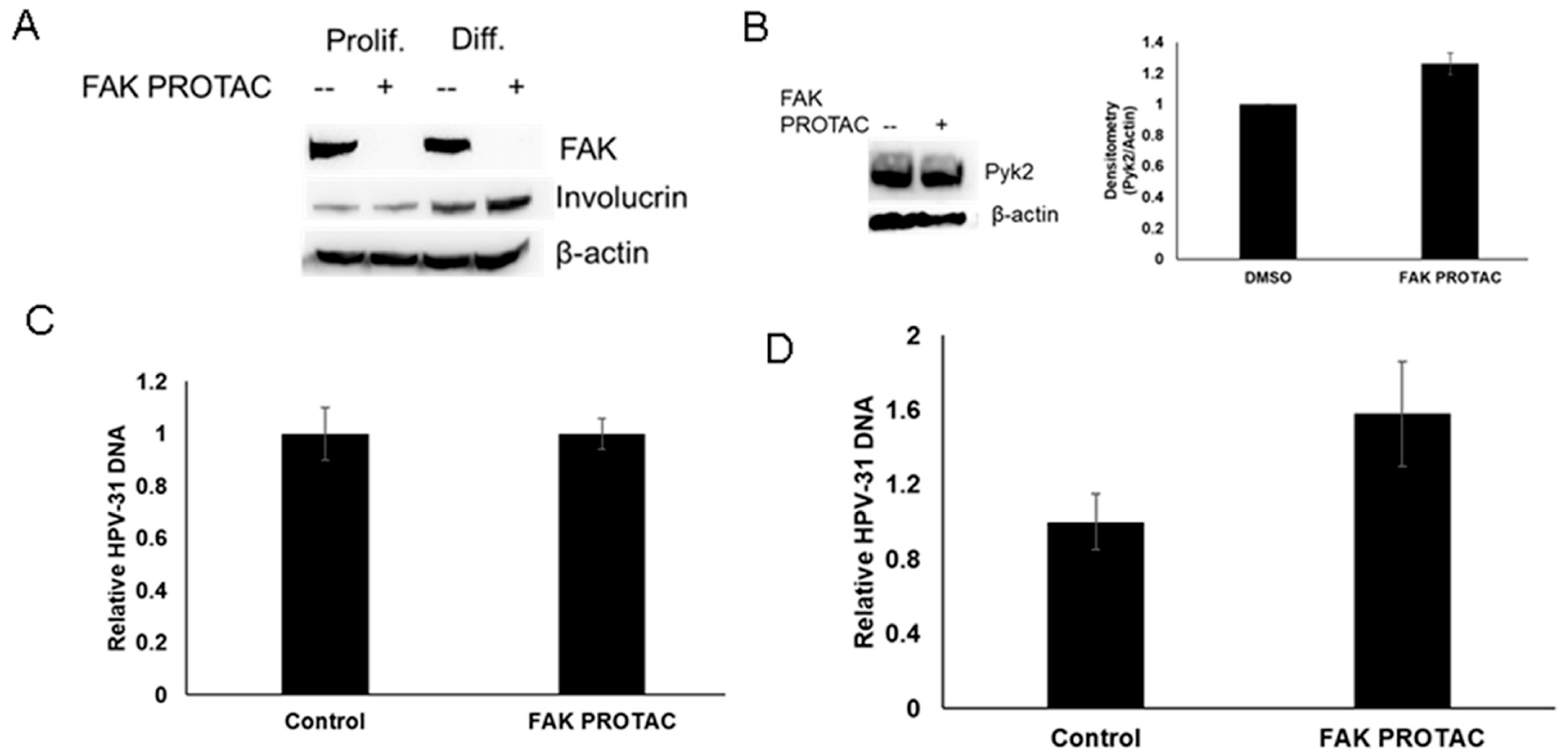 Pathogens 12 01203 g004