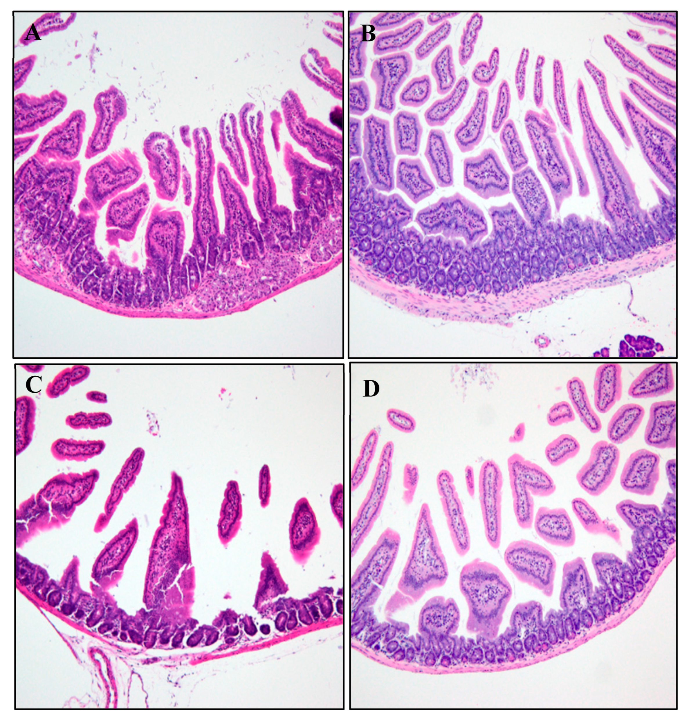 Pathogens 12 01227 g002