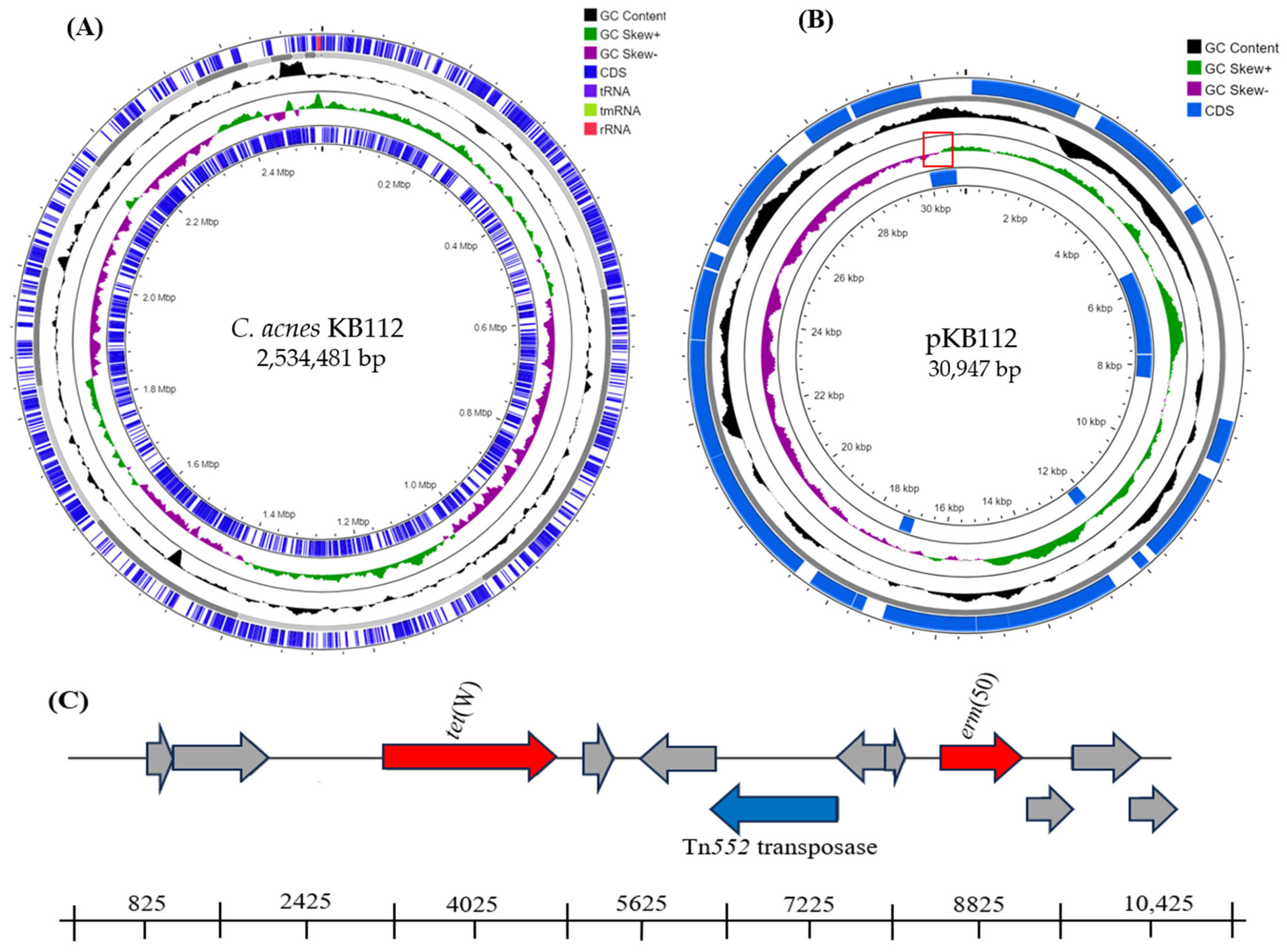 Pathogens 12 01286 g001