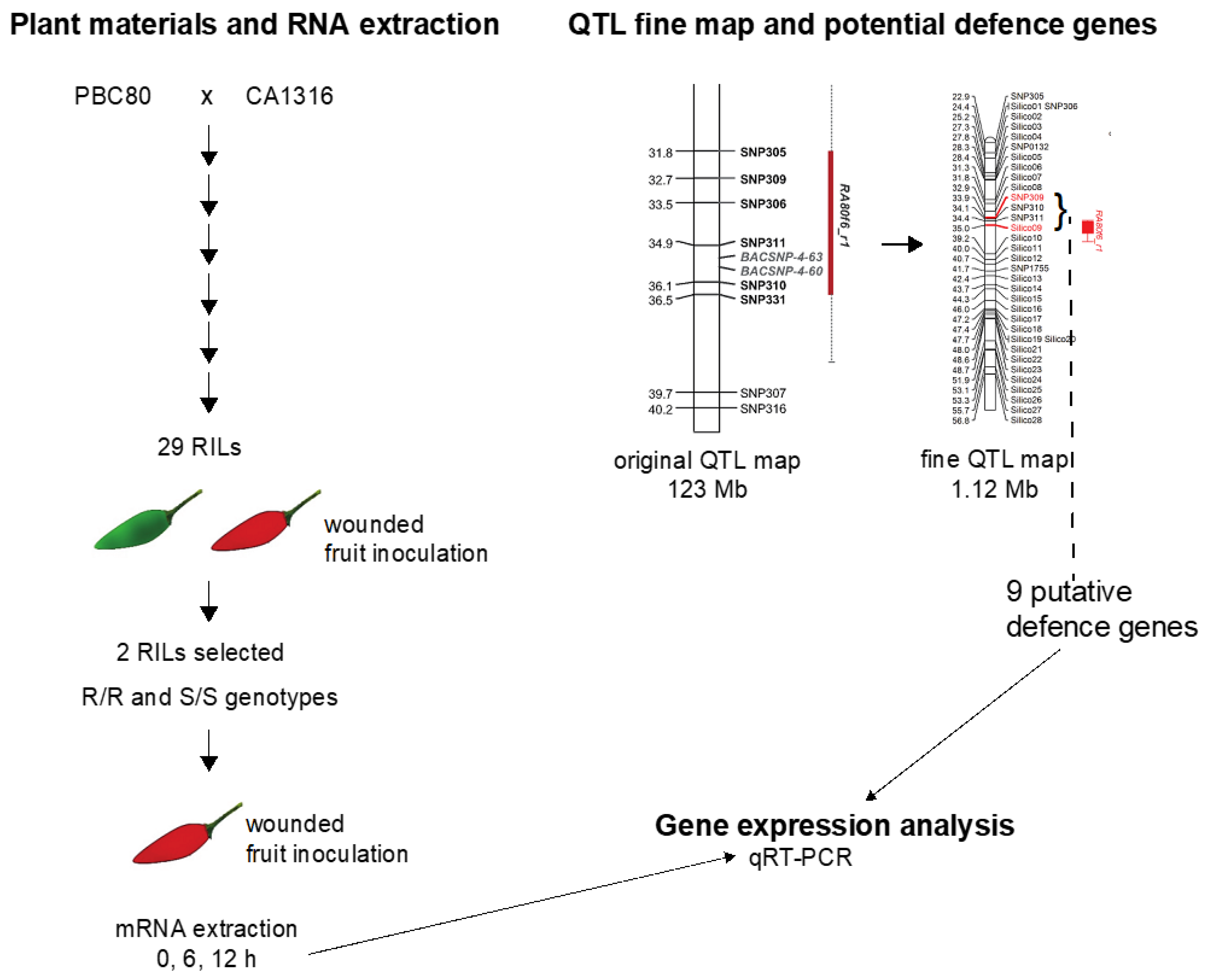 Pathogens 12 01306 g001 Pathogens 12 01306 g001