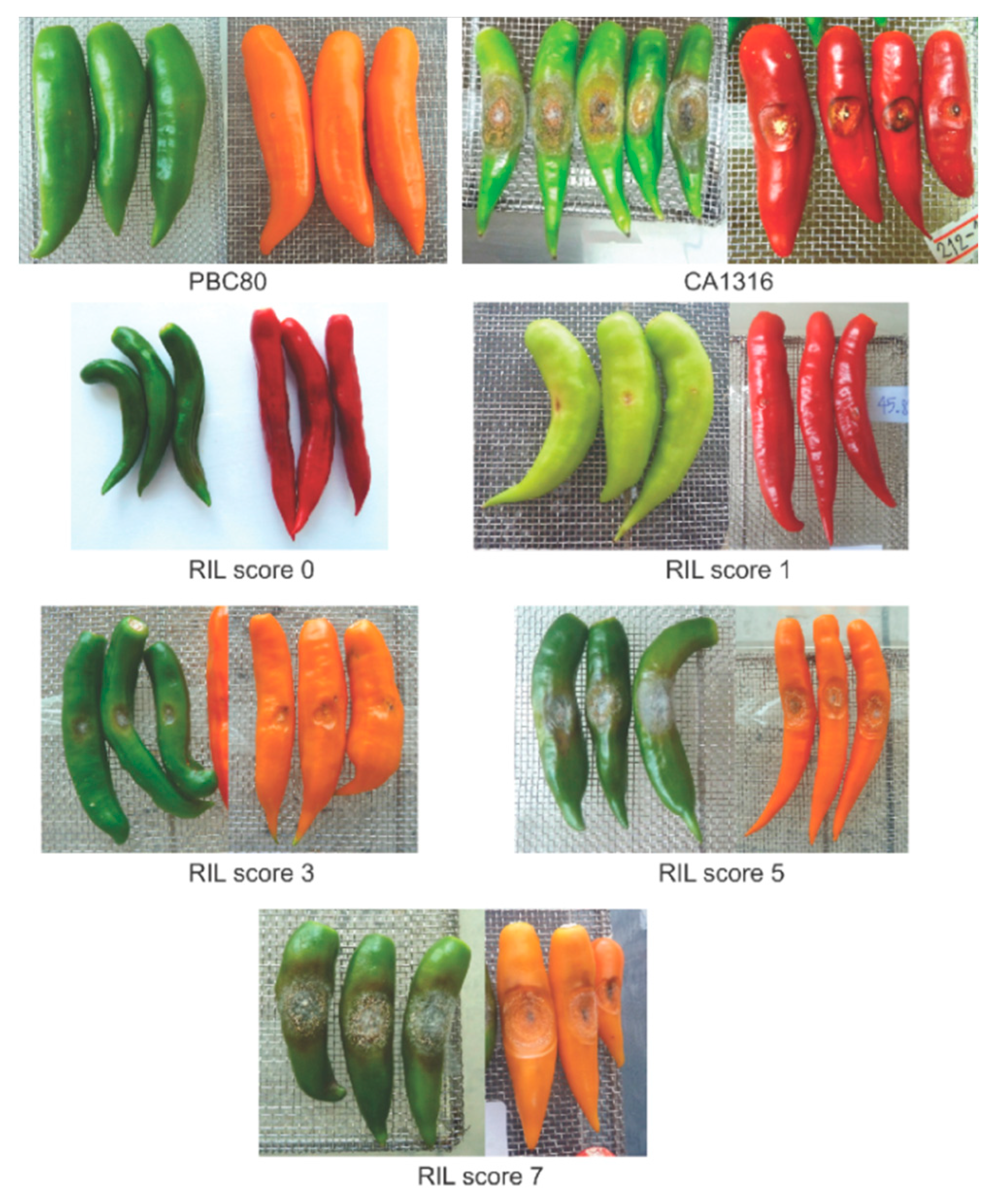 Pathogens 12 01306 g004 Pathogens 12 01306 g004