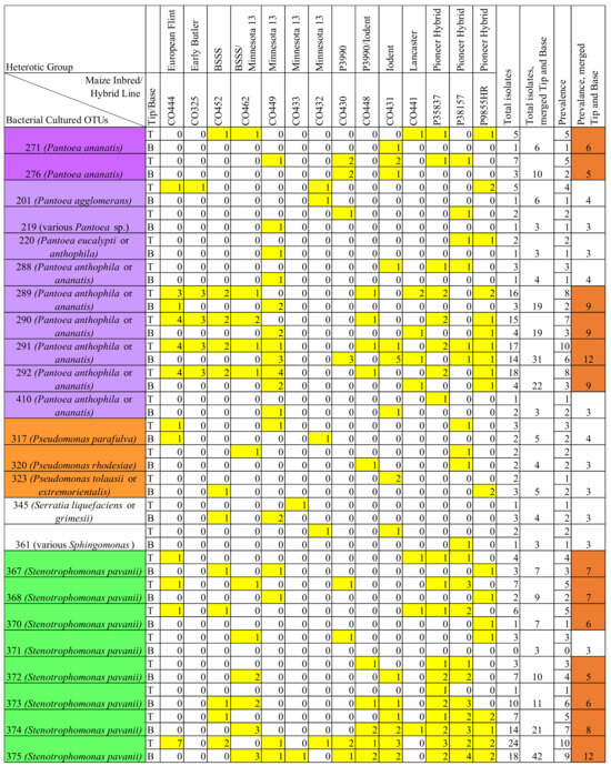 Transmitting silks of maize have a complex and dynamic microbiome