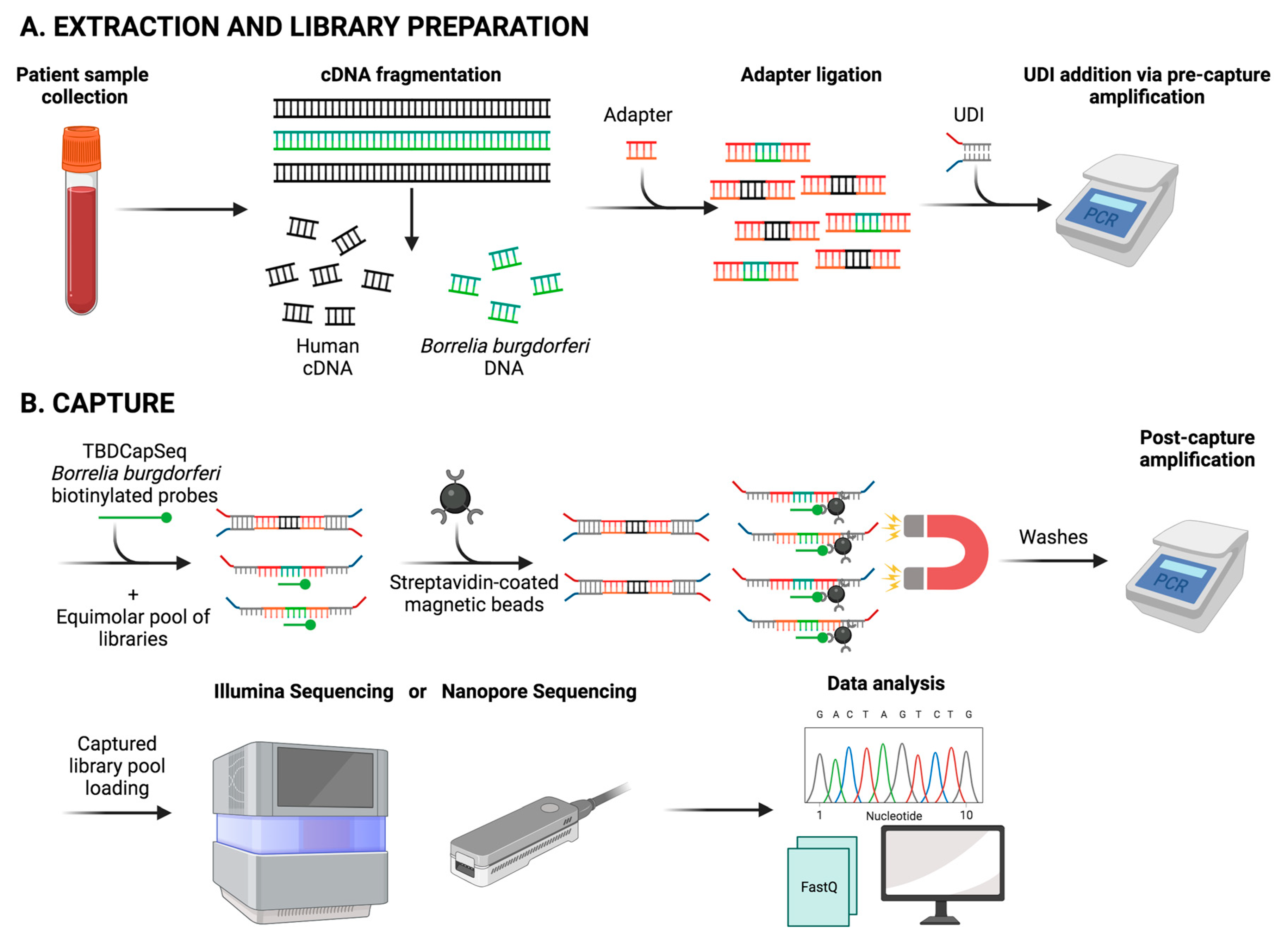 Pathogens 12 01371 g002 Pathogens 12 01371 g002