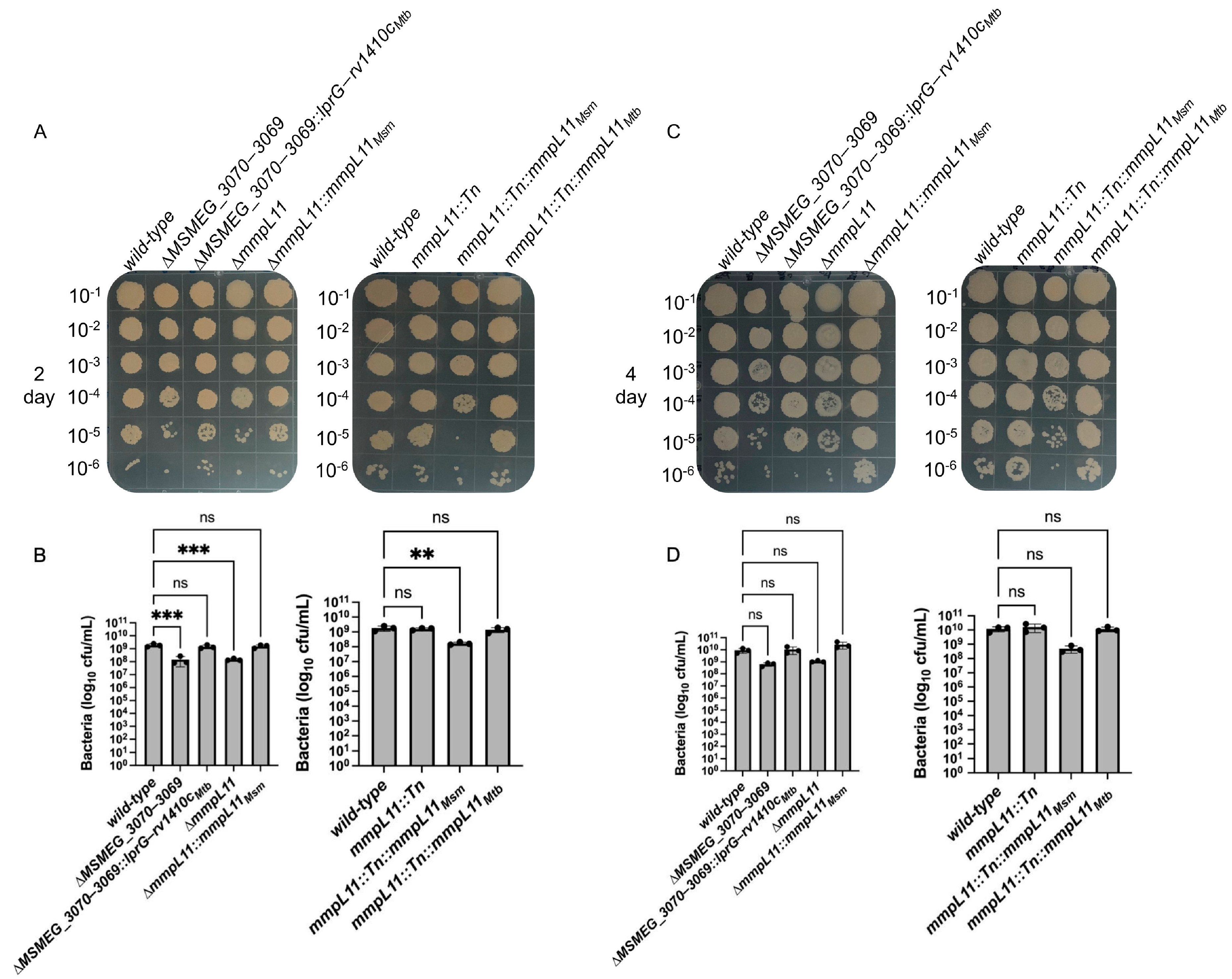 Pathogens 12 01375 g002