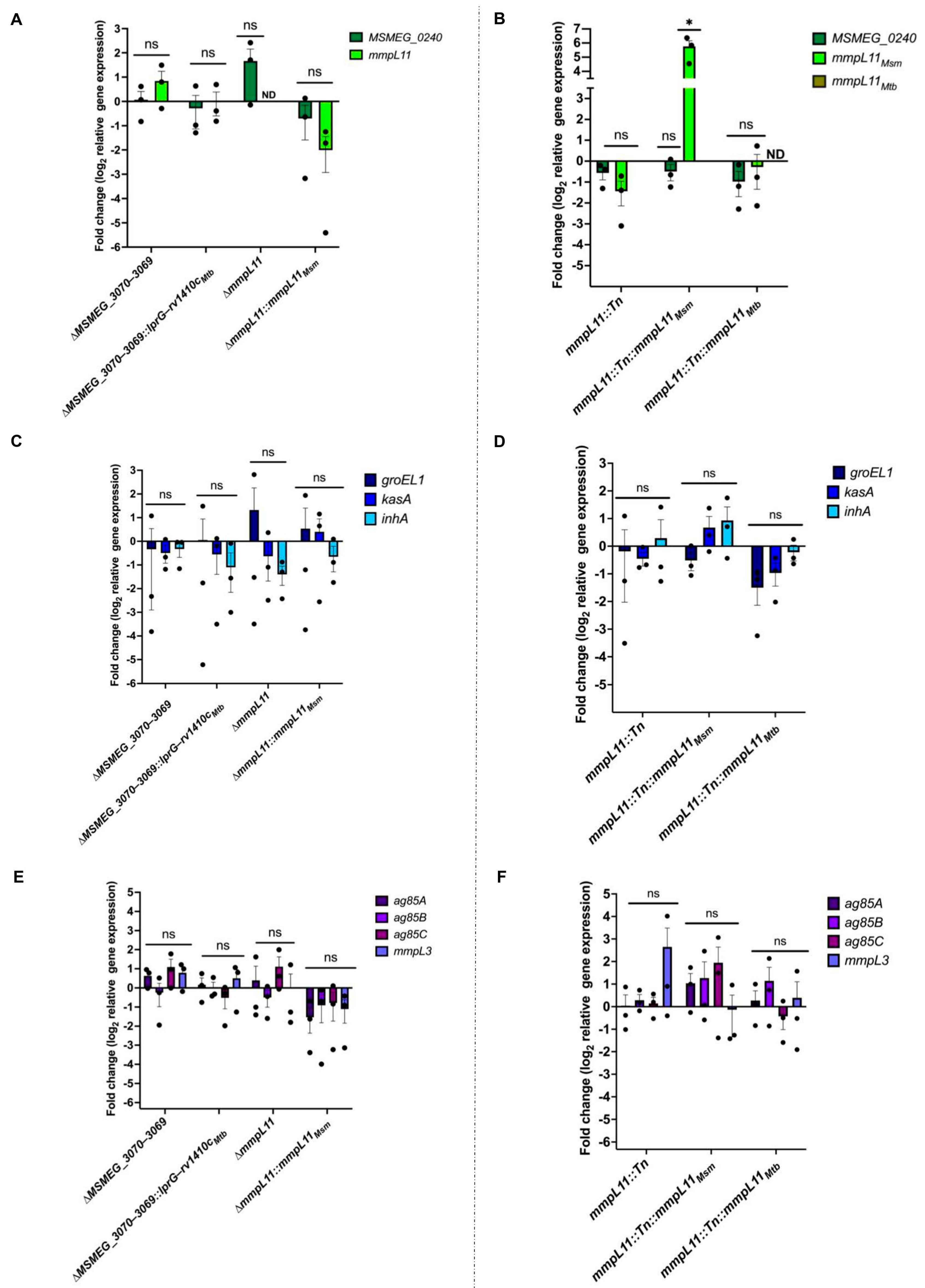 Pathogens 12 01375 g005