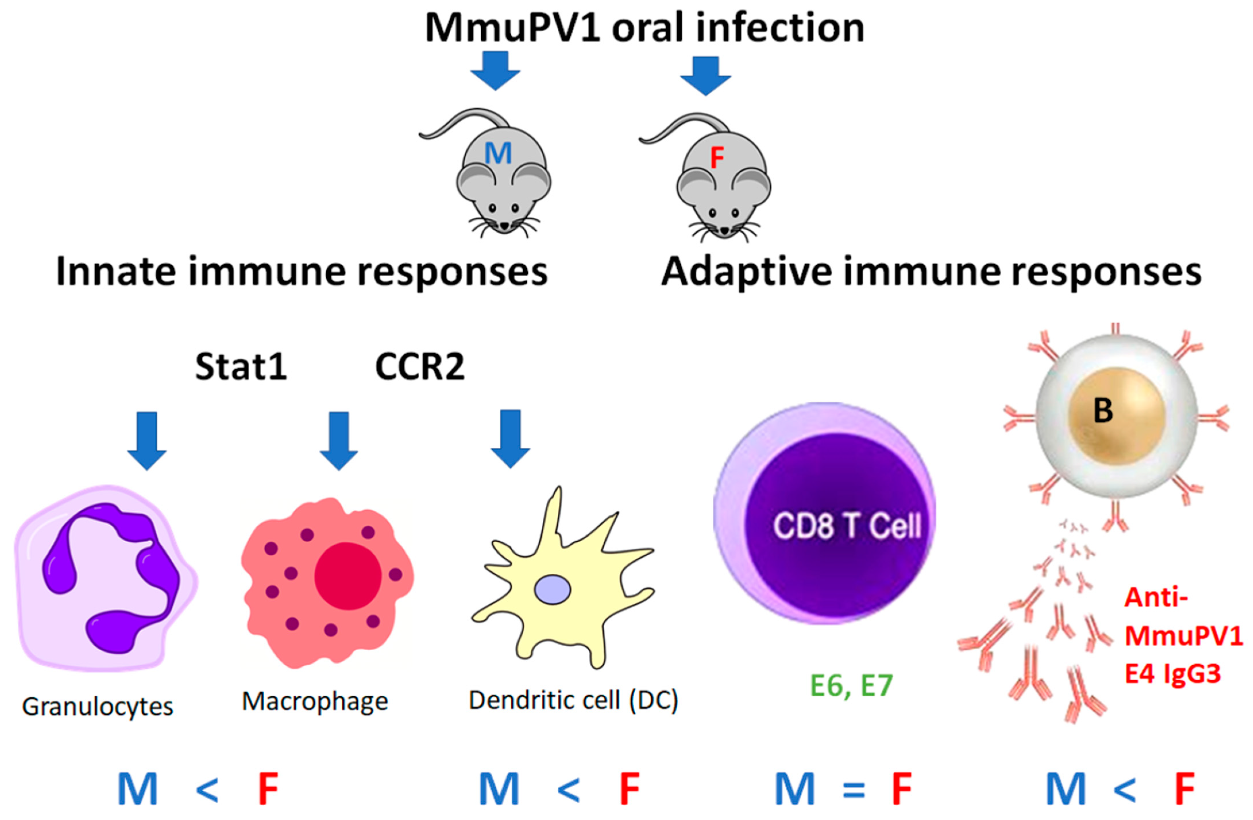 Pathogens 12 01452 g008