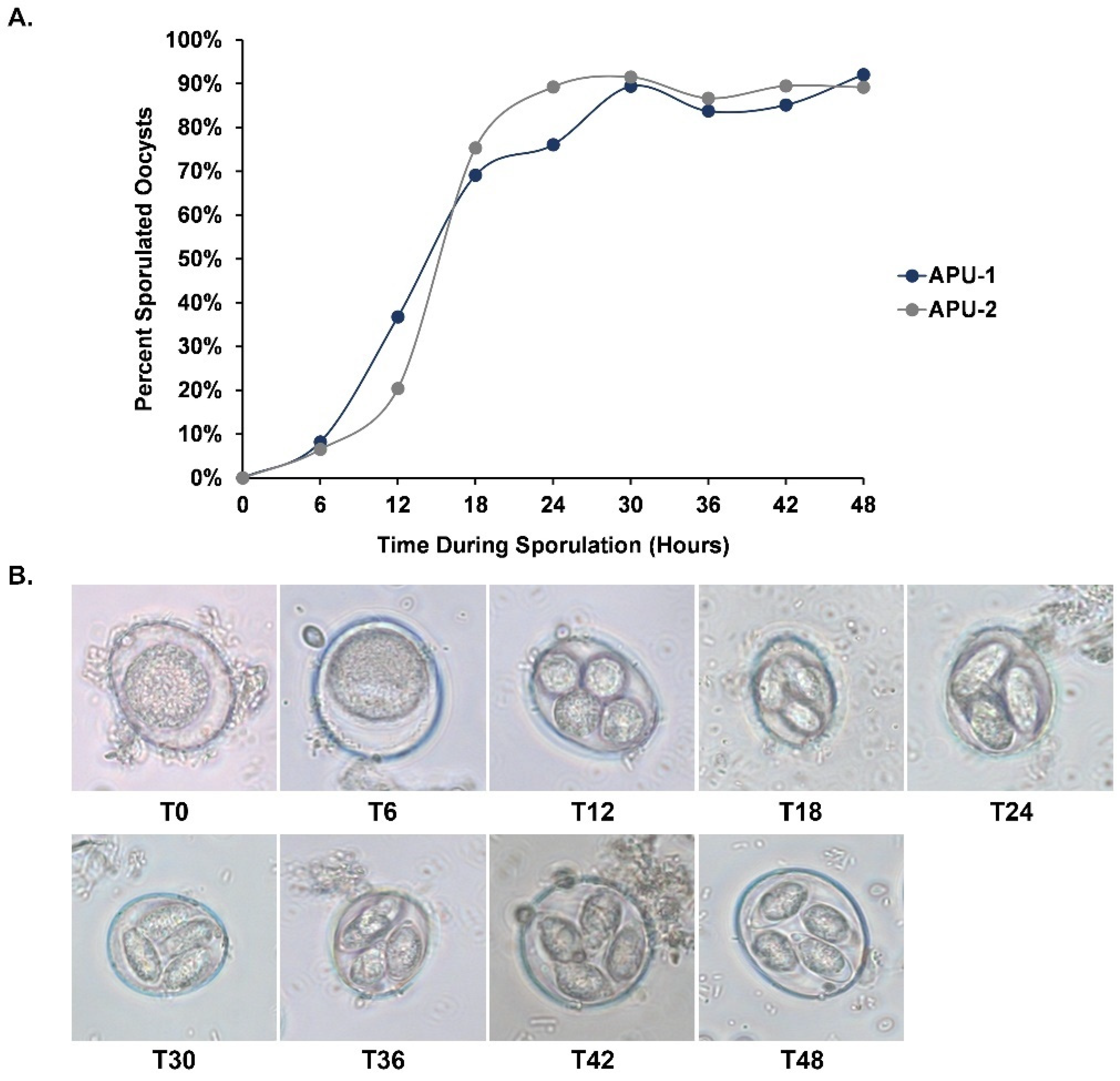 Pathogens Free Full Text RNA Seq of Phenotypically Distinct