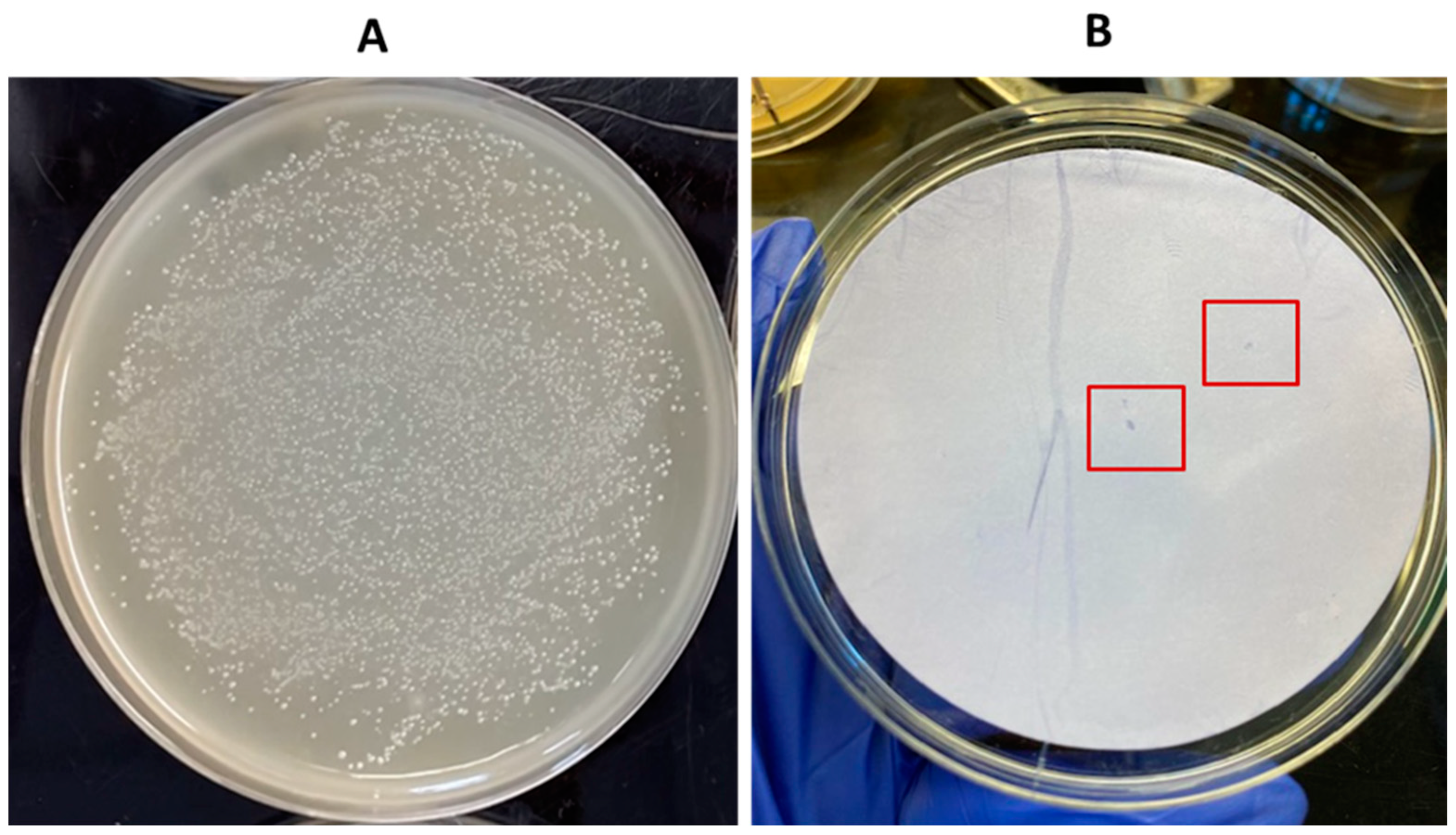 Pathogens 13 00030 g010 Pathogens 13 00030 g010
