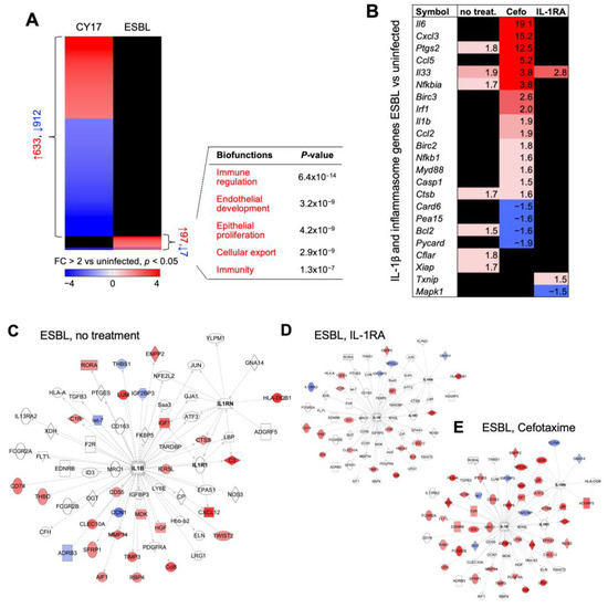 Molecular determinants of disease severity in urinary tract