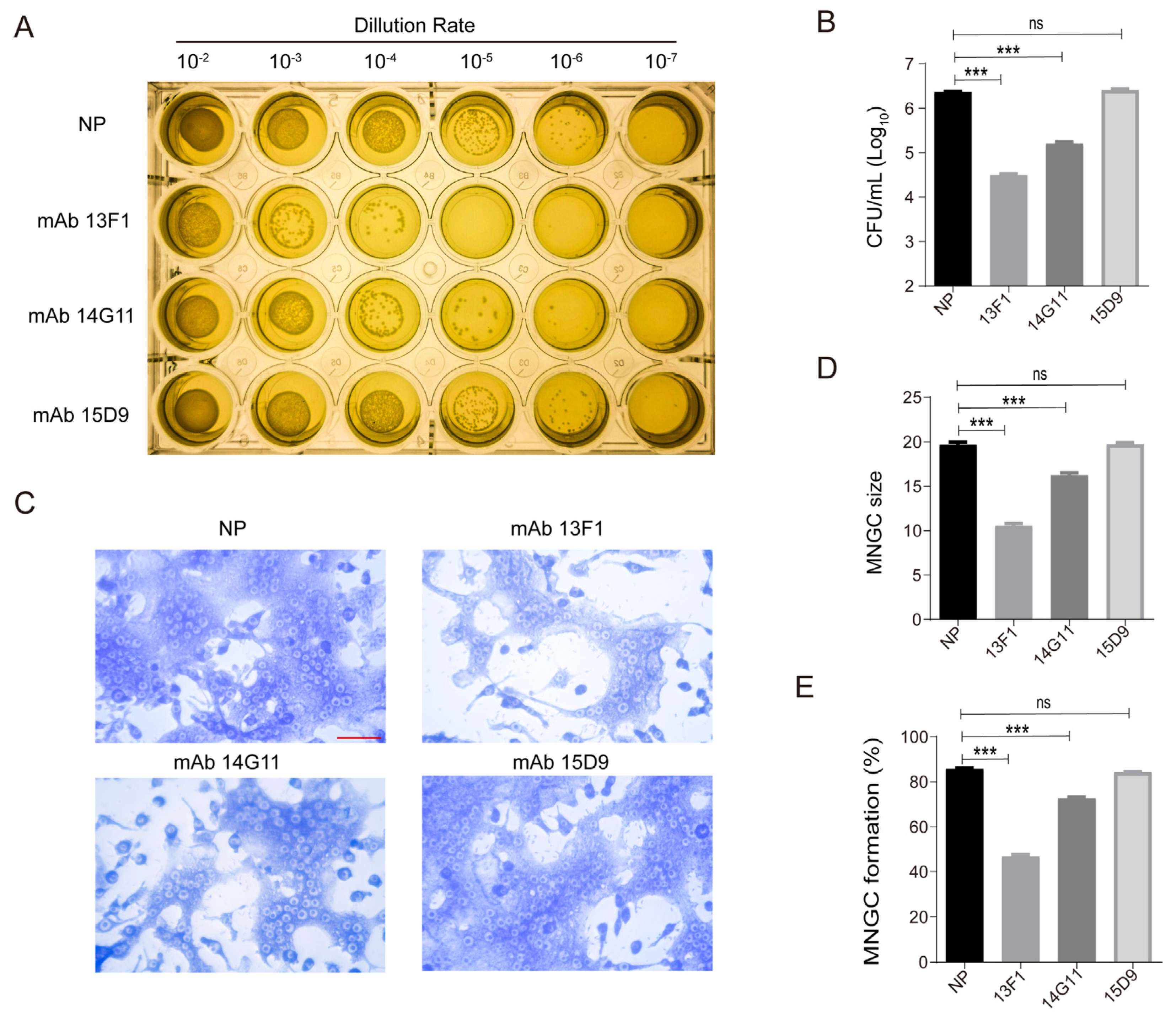Pathogens 13 00043 g001