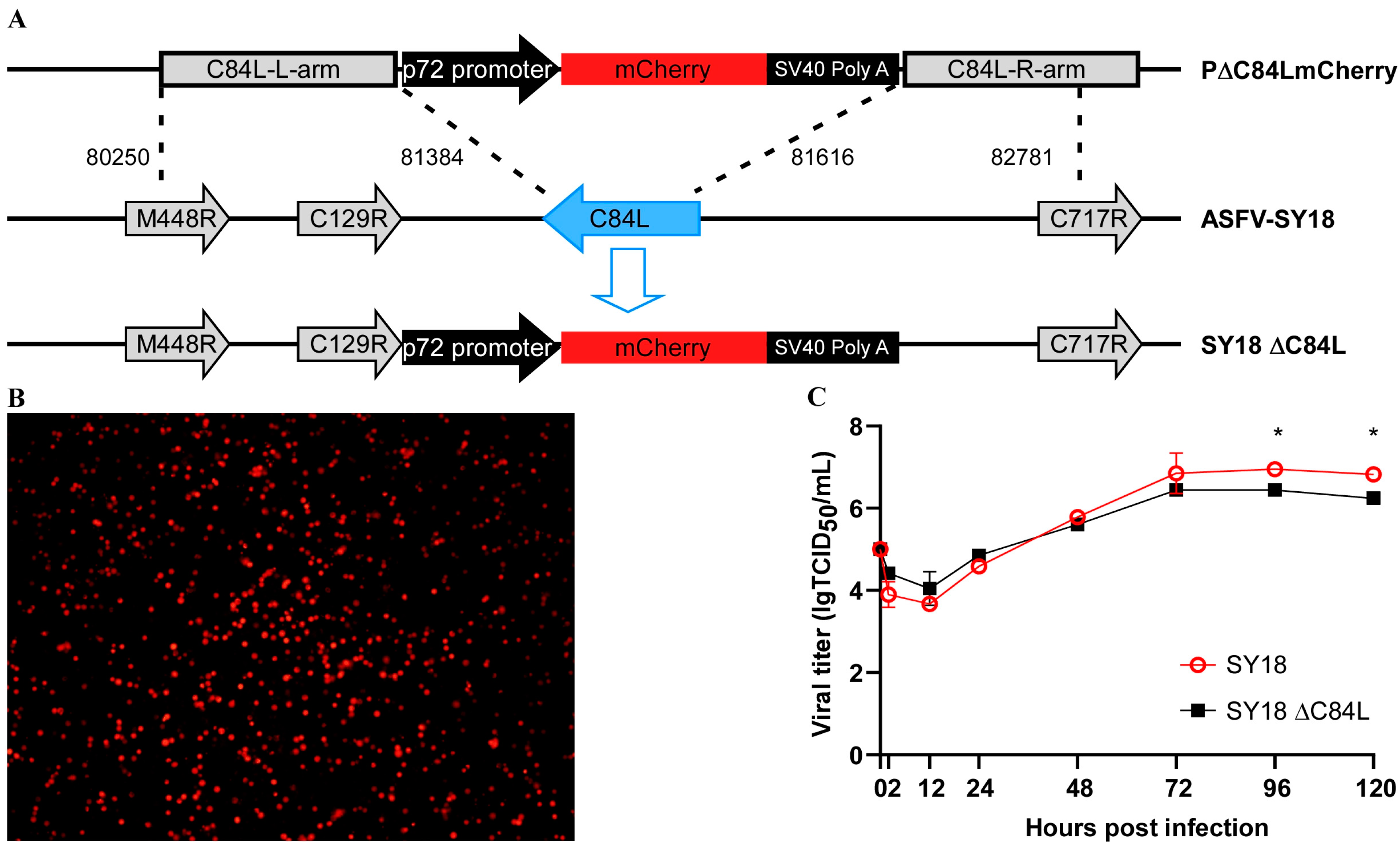 Pathogens 13 00103 g002