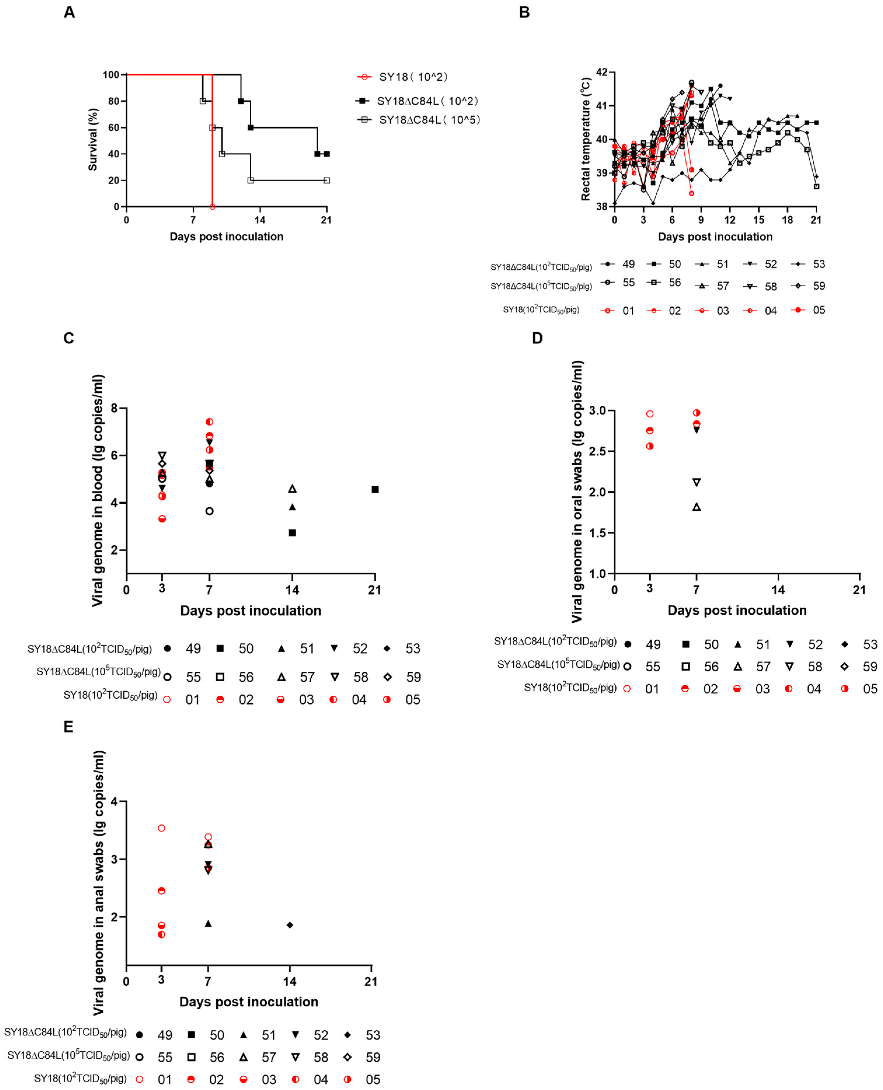 Pathogens 13 00103 g003
