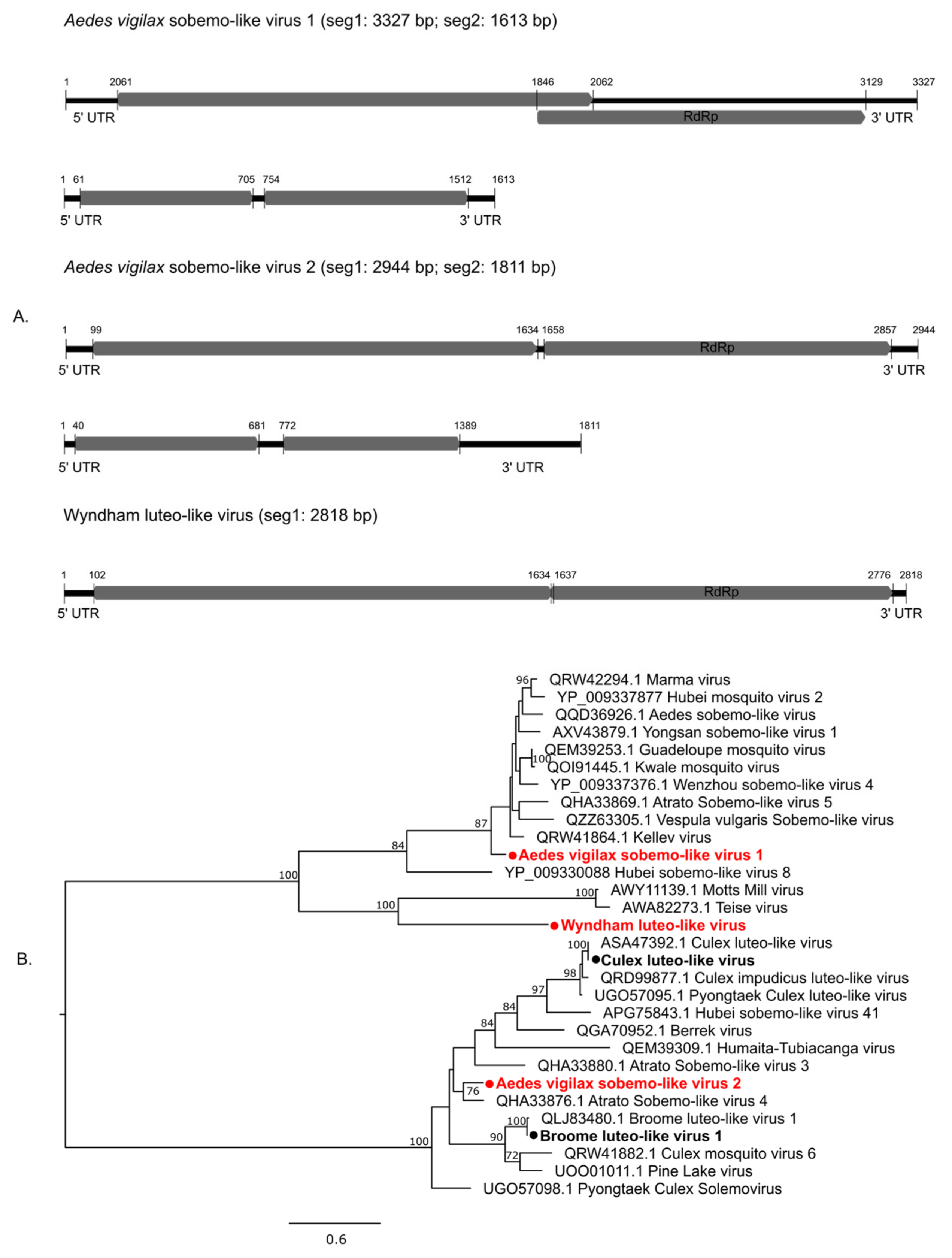Pathogens 13 00107 g005