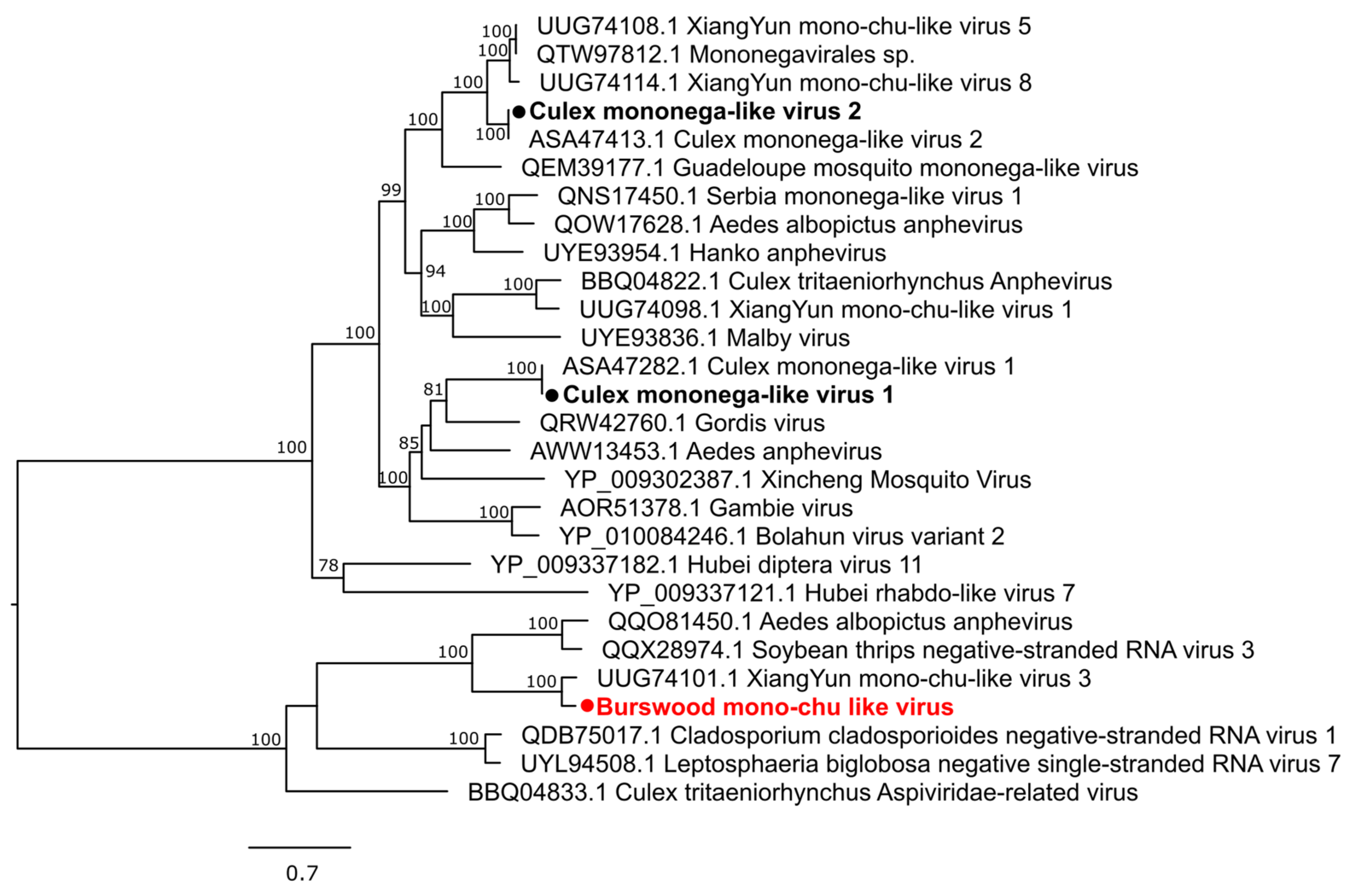 Pathogens 13 00107 g008