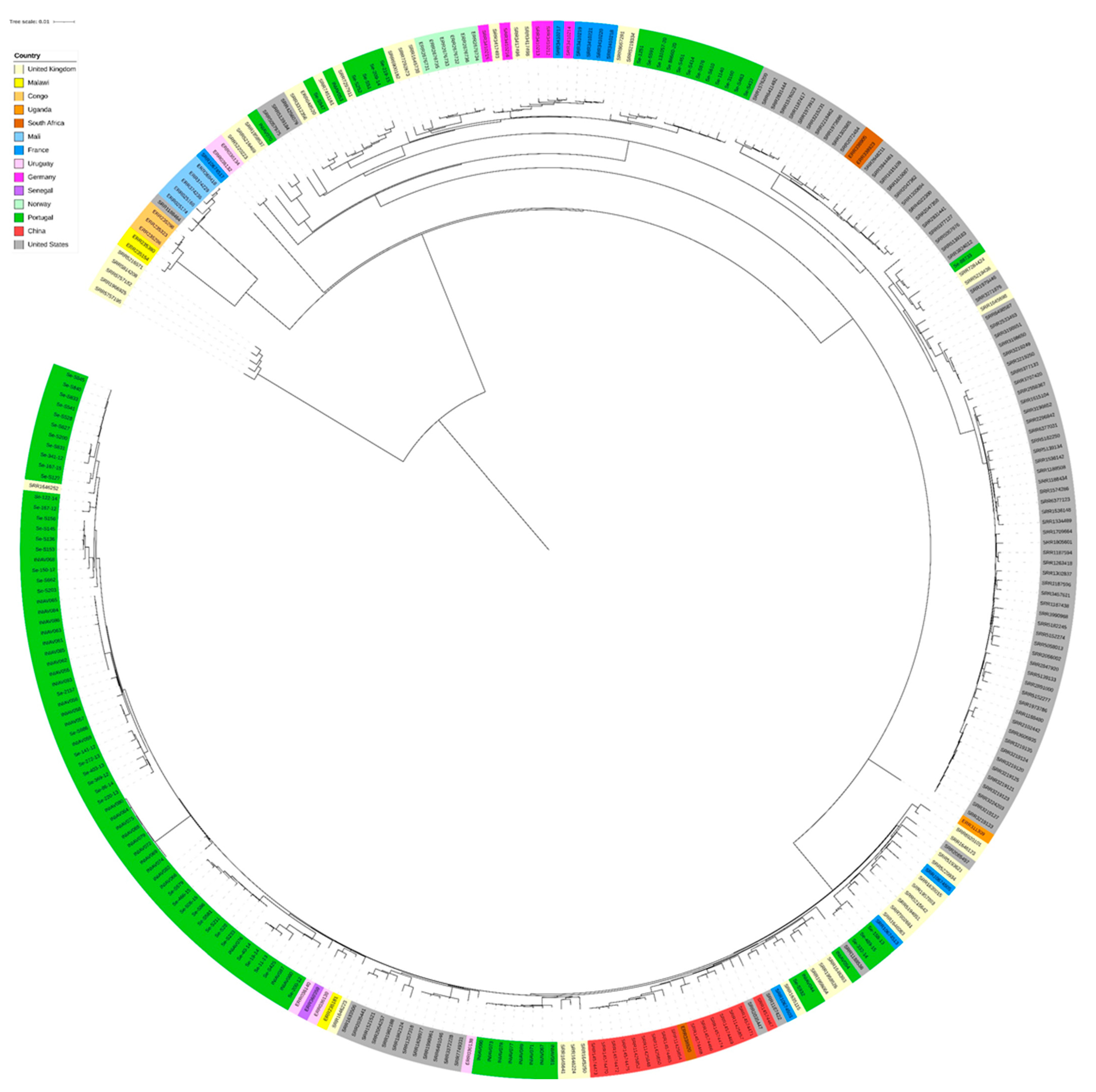 Pathogens 13 00112 g005