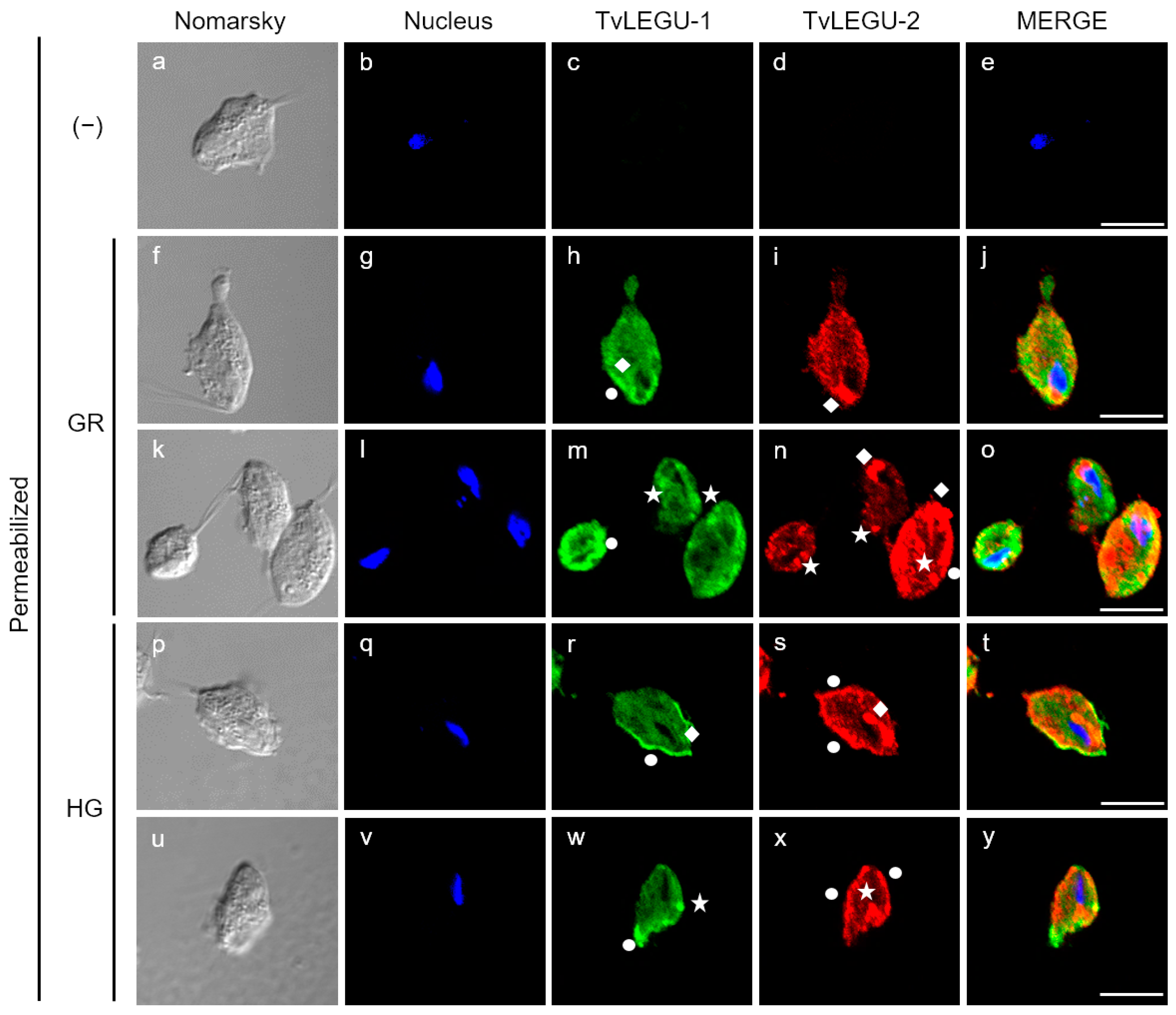 Pathogens 13 00119 g007 Pathogens 13 00119 g007