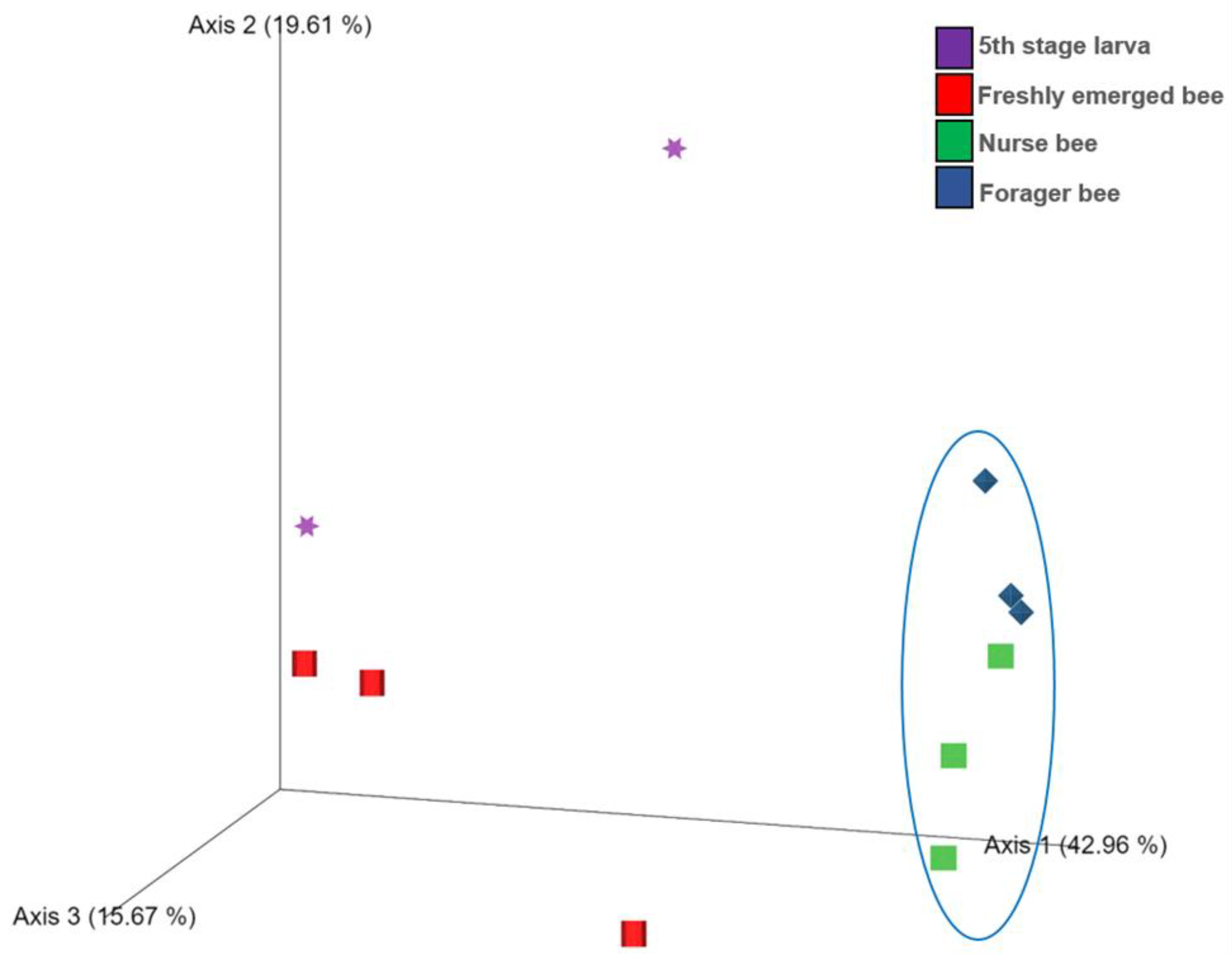 Pathogens 13 00122 g003
