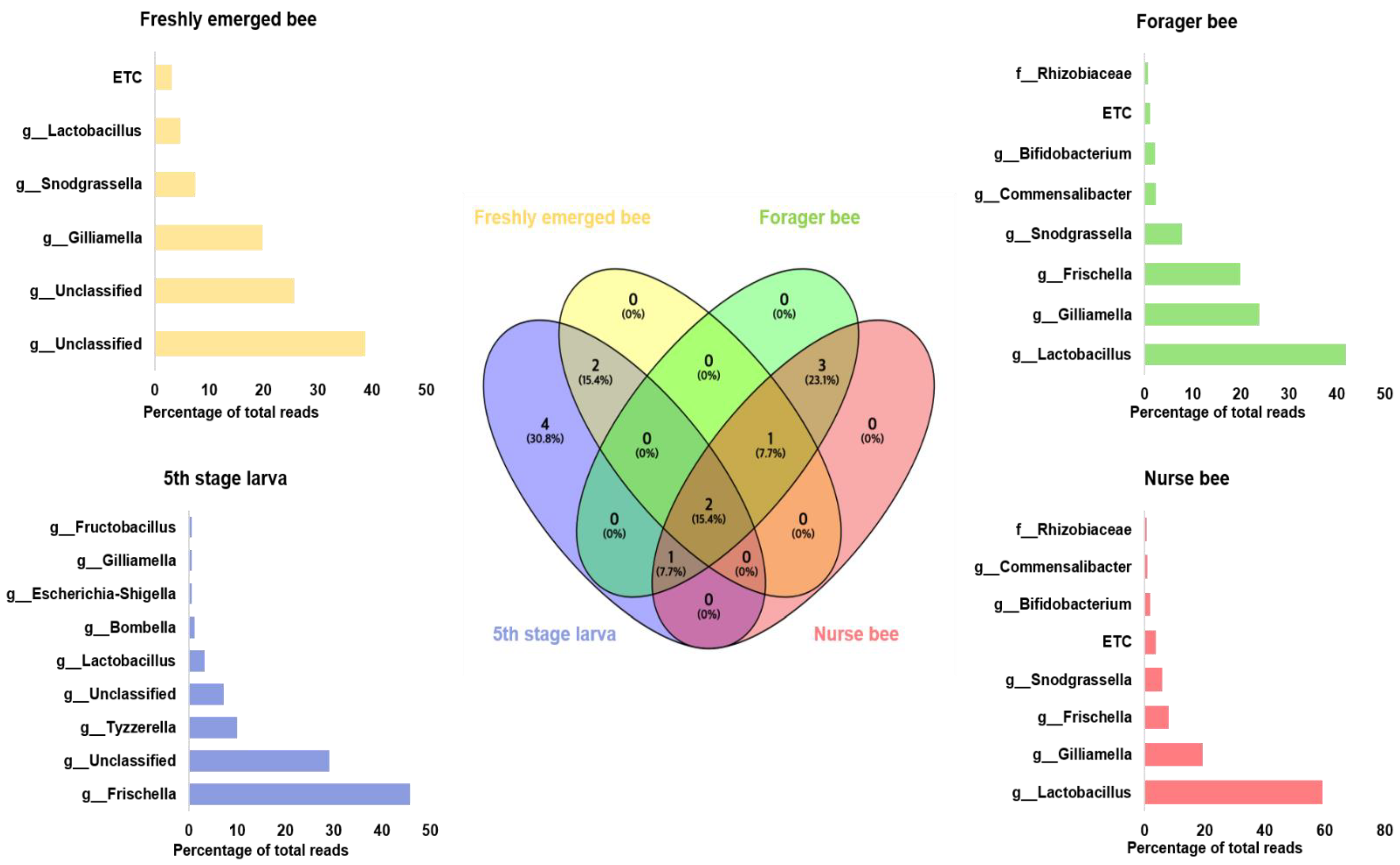 Pathogens 13 00122 g006