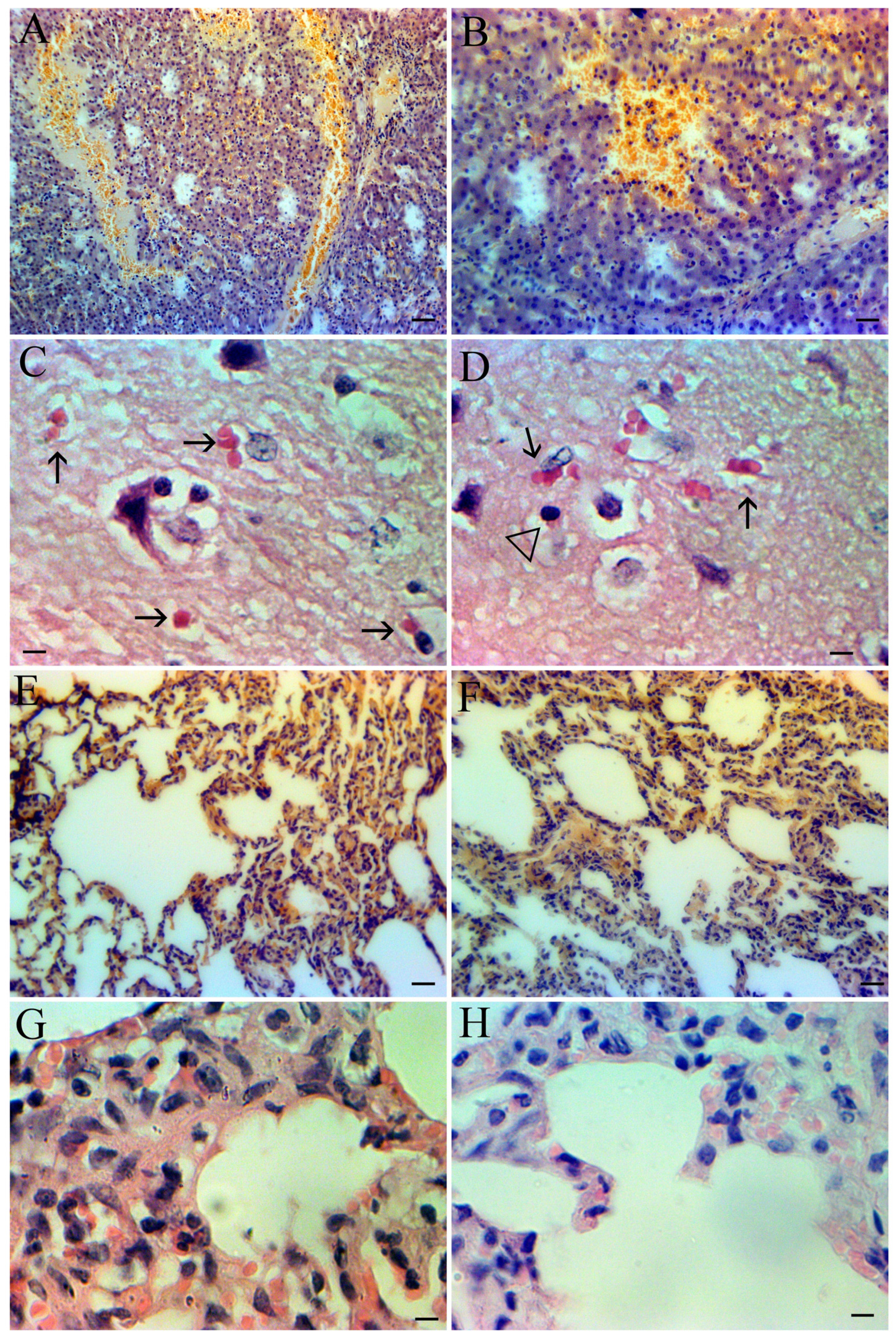 Pathogens 13 00130 g002