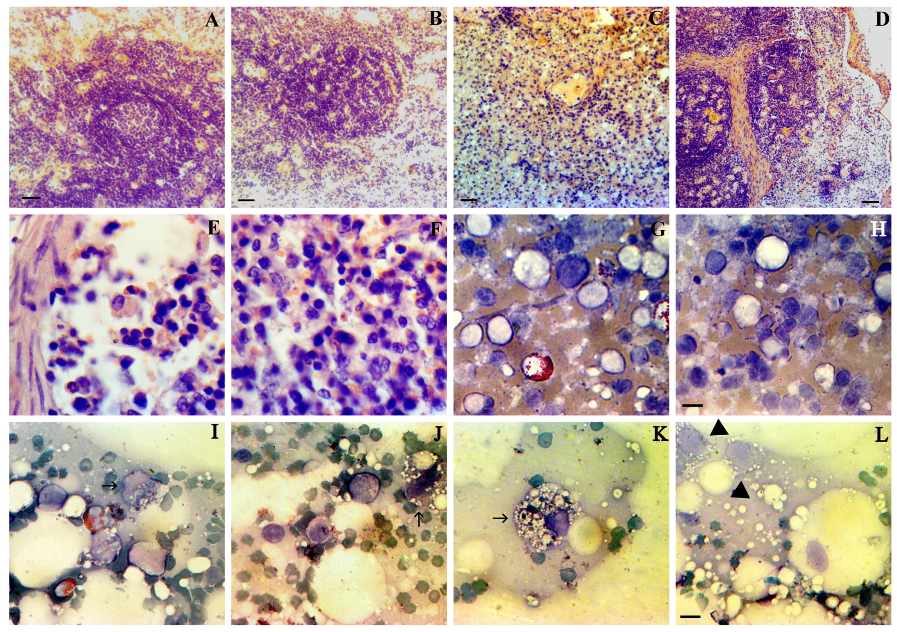 Pathogens 13 00130 g004