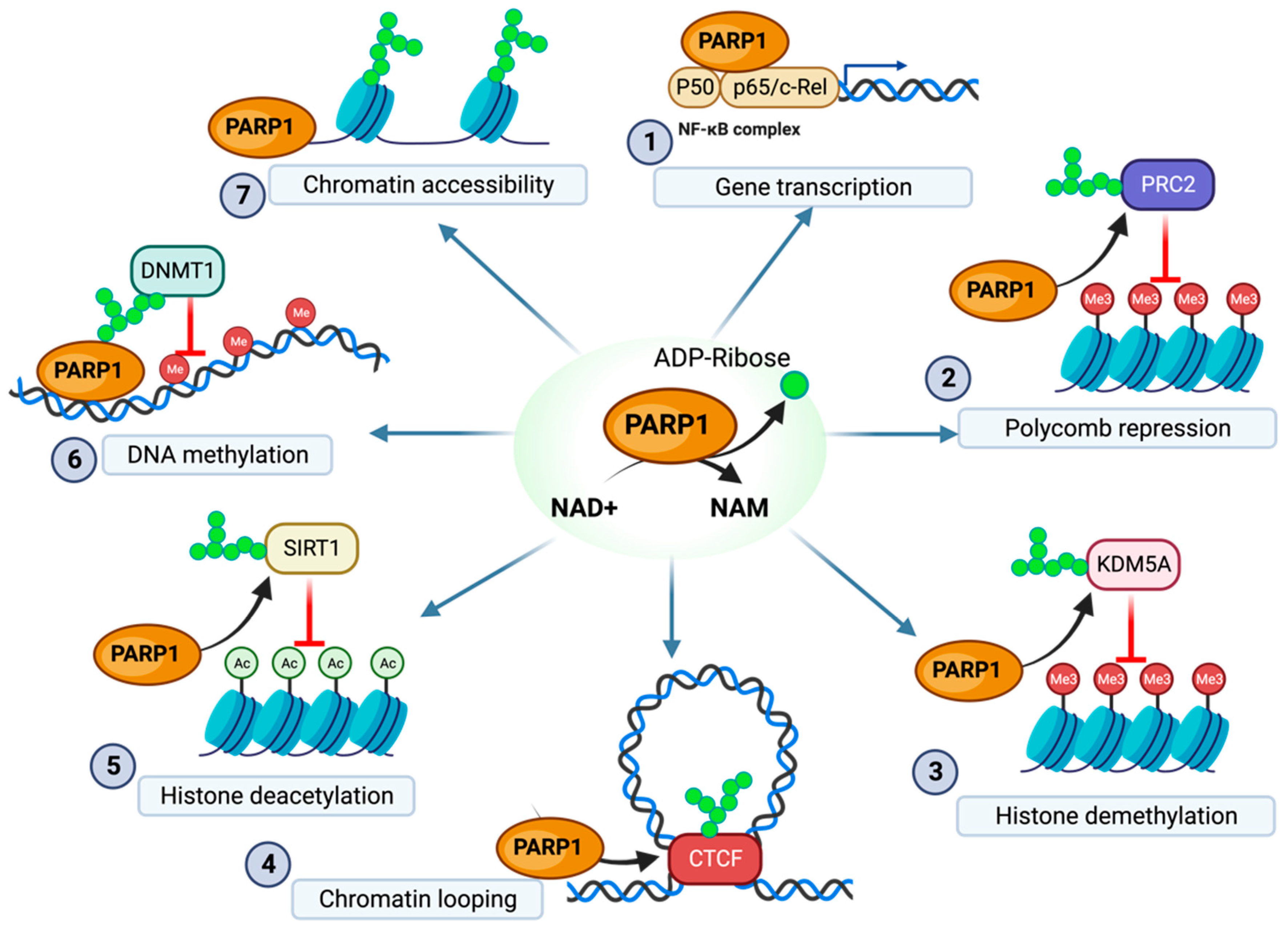 Pathogens 13 00131 g001 Pathogens 13 00131 g001