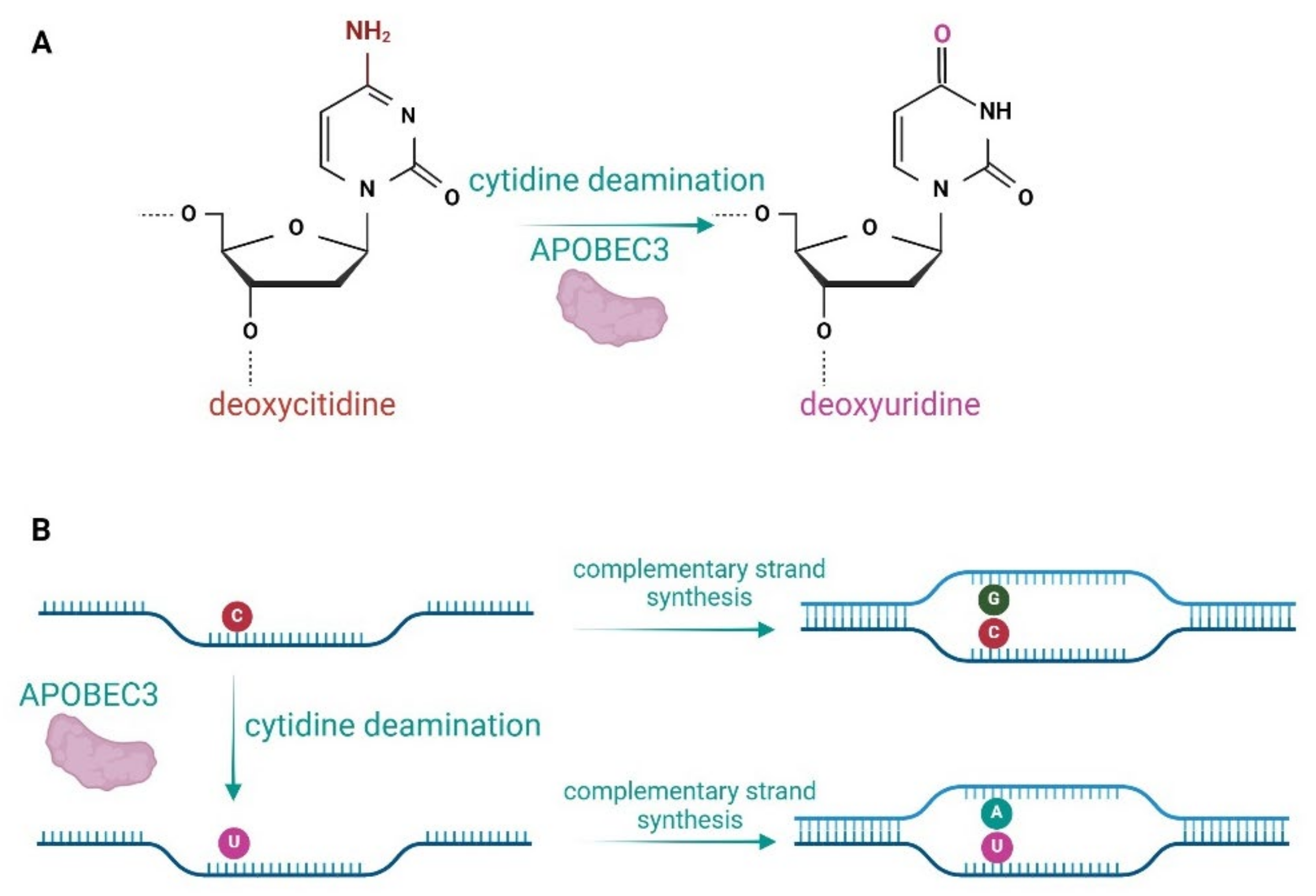 Pathogens 13 00187 g001 Pathogens 13 00187 g001