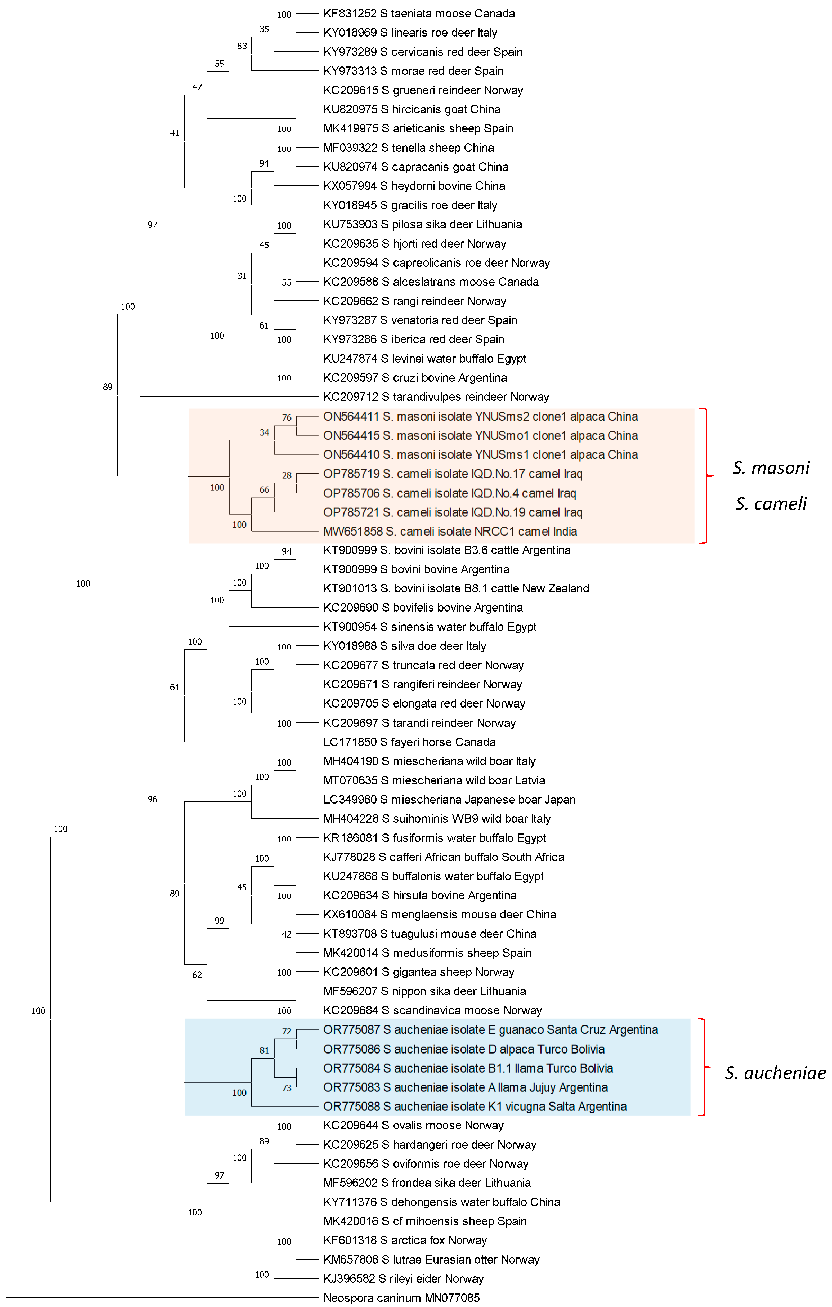 Pathogens 13 00196 g003 Pathogens 13 00196 g003