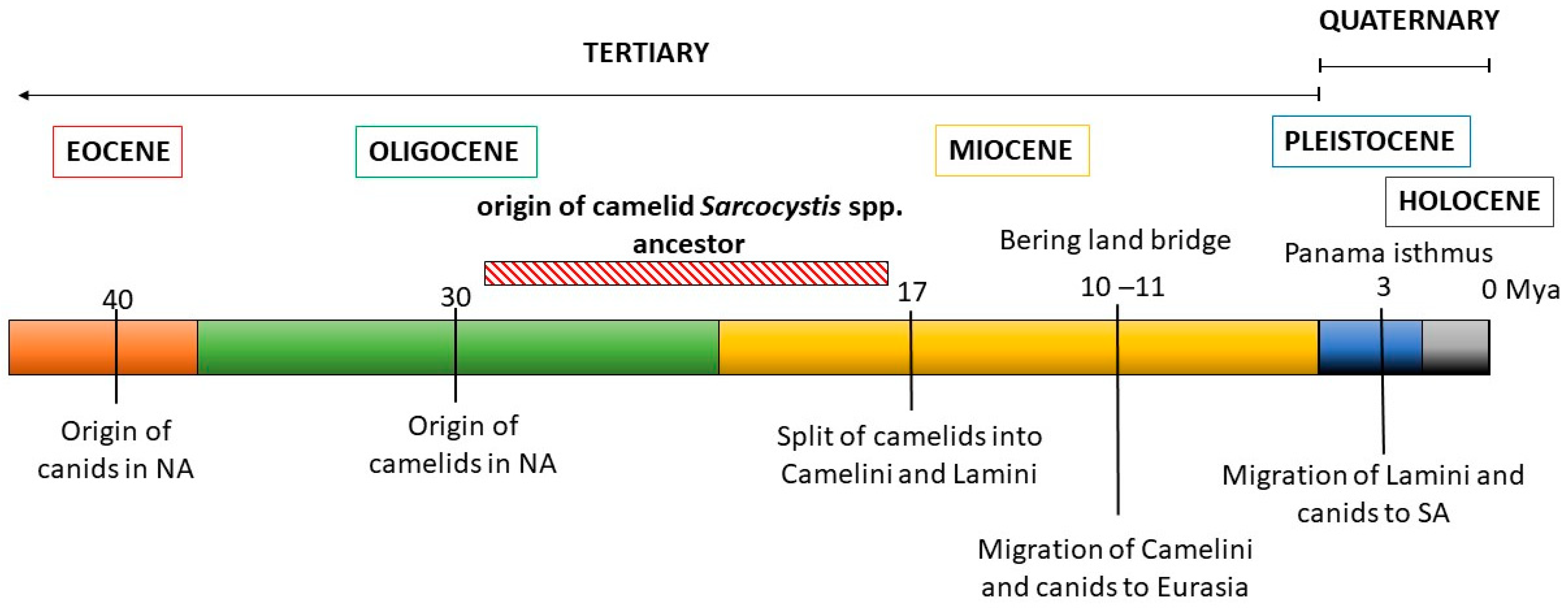 Pathogens 13 00196 g004 Pathogens 13 00196 g004