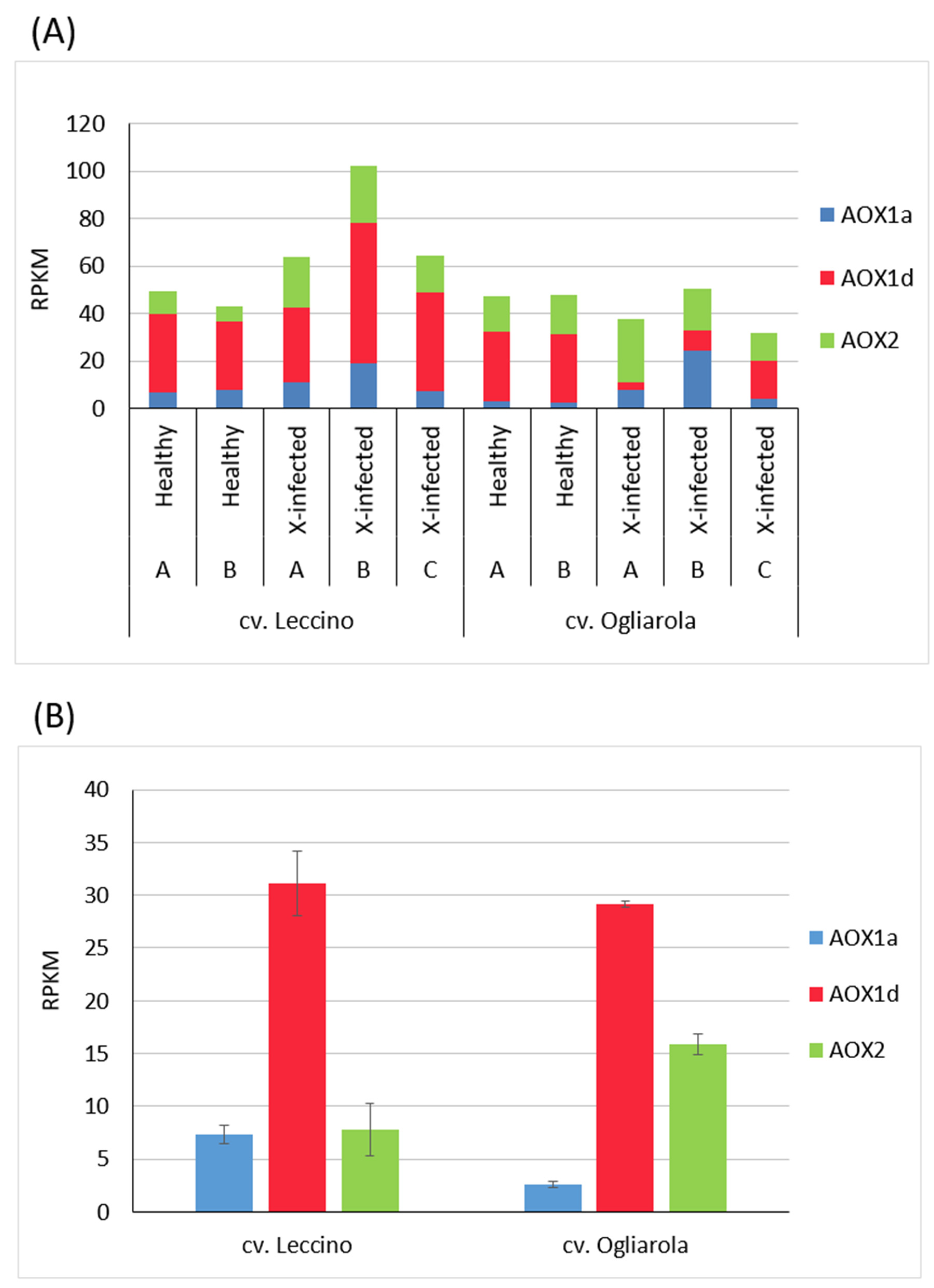 Pathogens 13 00227 g004 Pathogens 13 00227 g004