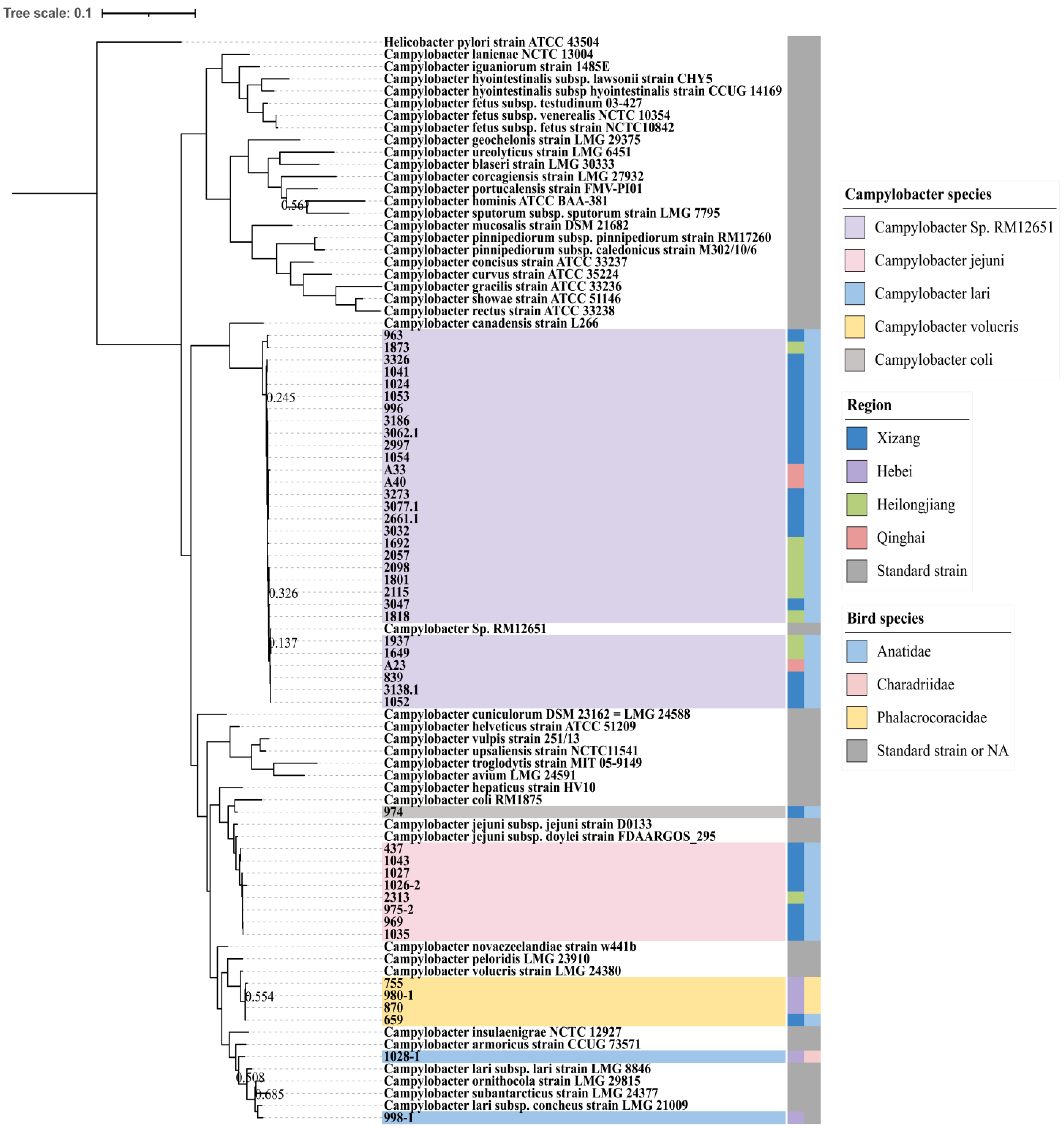Pathogens 13 00230 g001 Pathogens 13 00230 g001