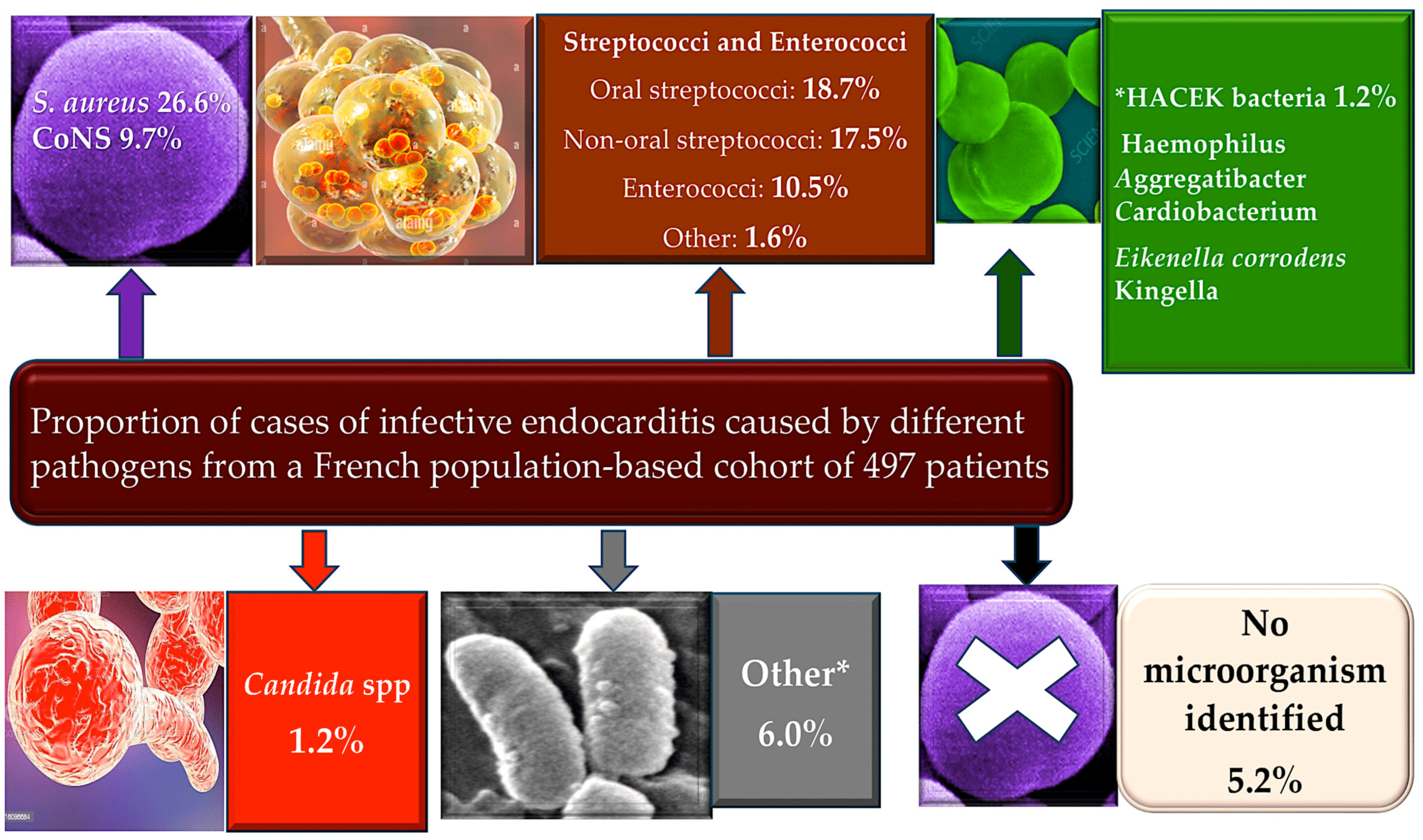 Pathogens 13 00235 g001 Pathogens 13 00235 g001