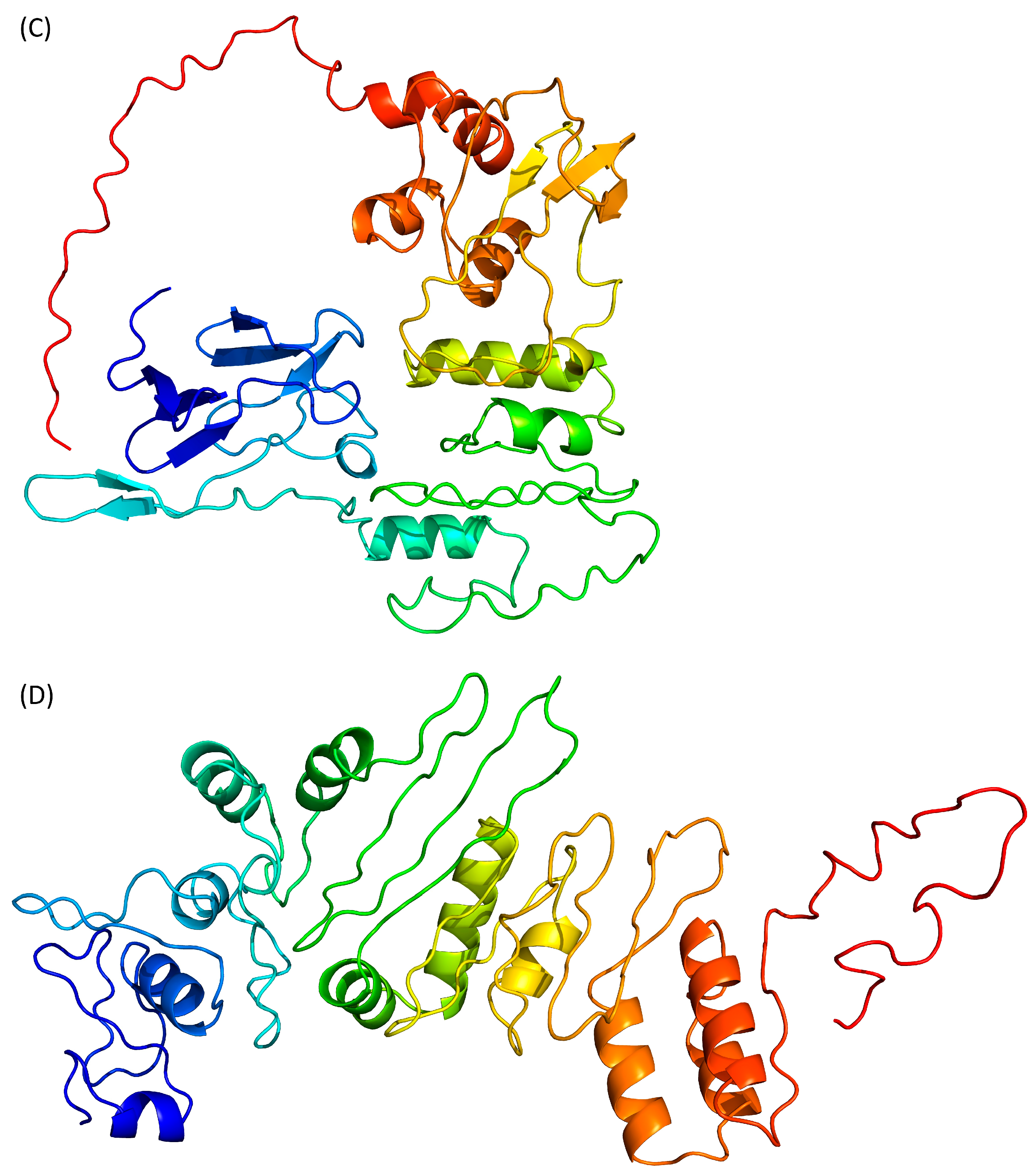 Pathogens 13 00241 g003b Pathogens 13 00241 g003b