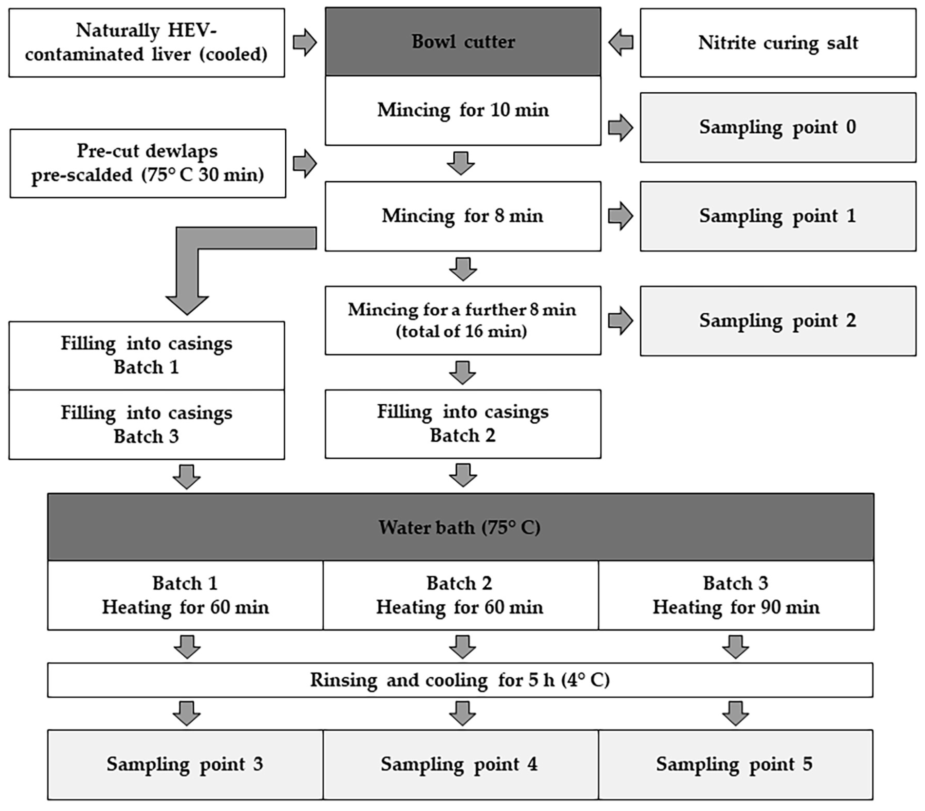 Pathogens 13 00274 g001