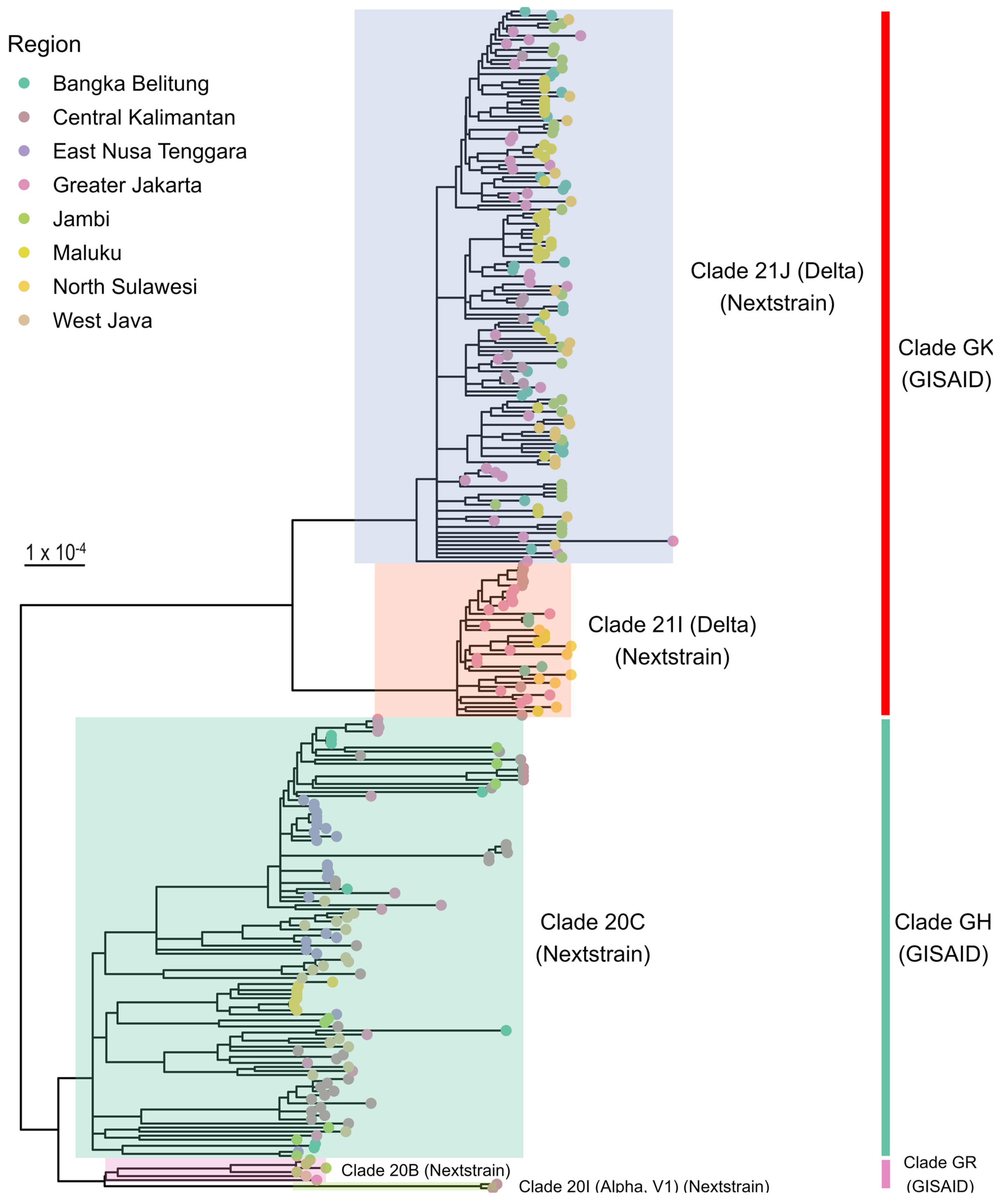 Pathogens 13 00279 g001