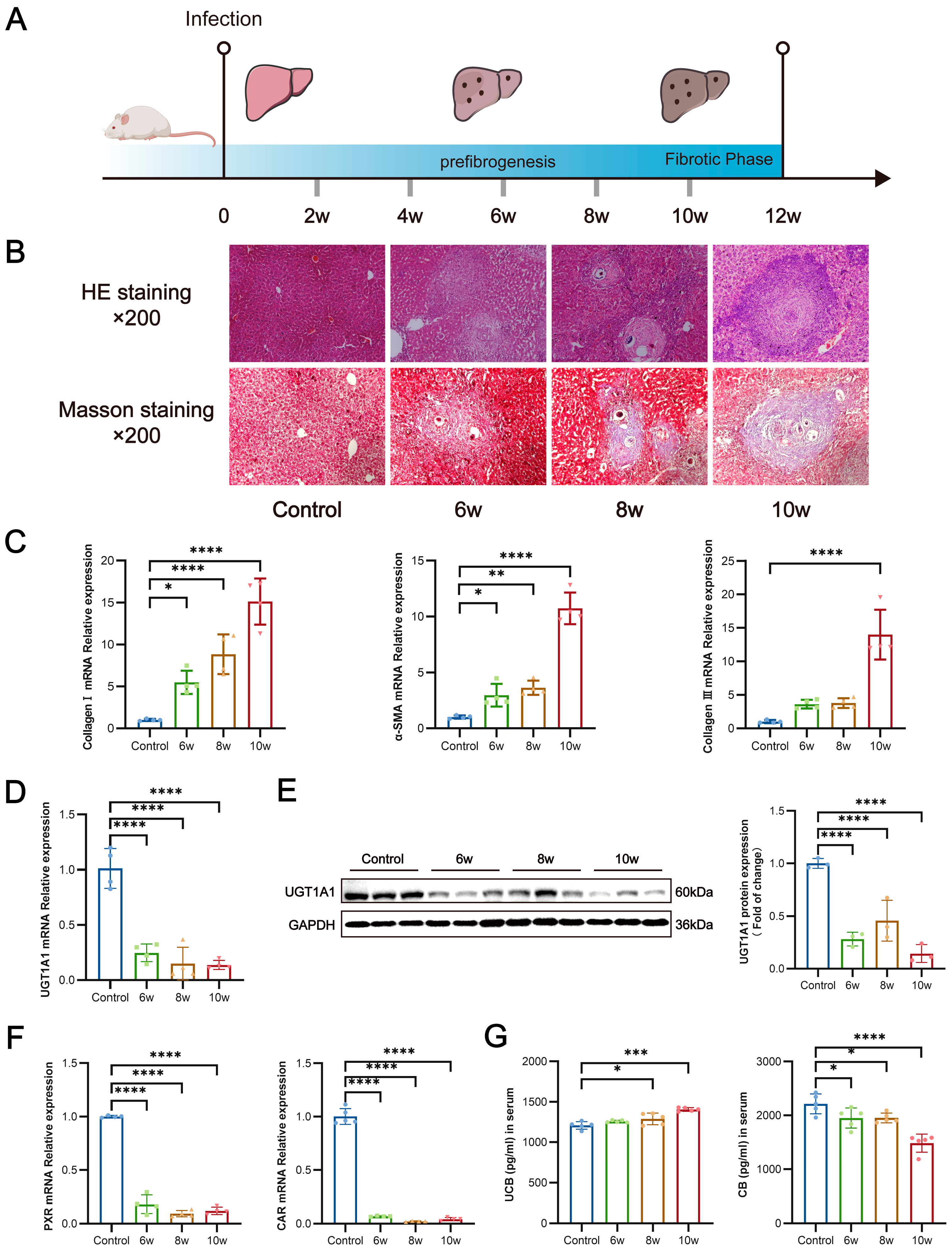 Pathogens 13 00287 g003