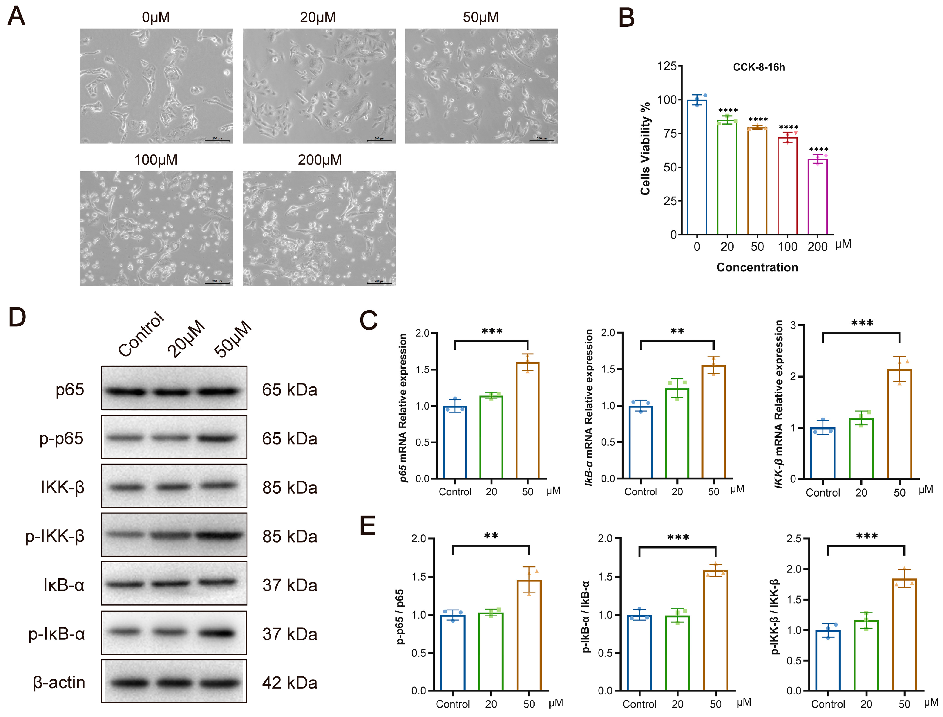 Pathogens 13 00287 g004