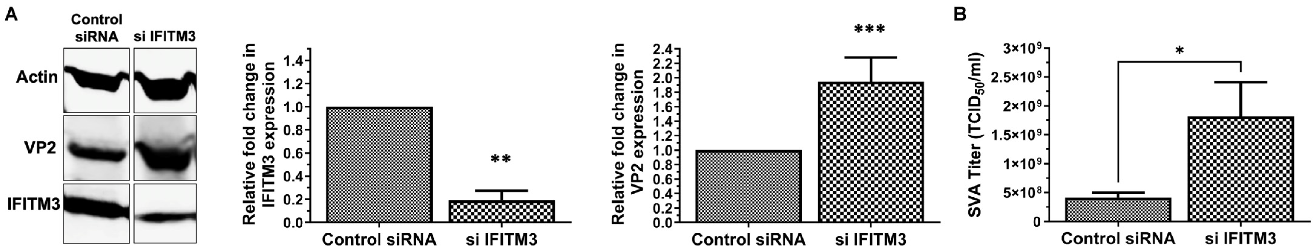 Pathogens 13 00290 g001