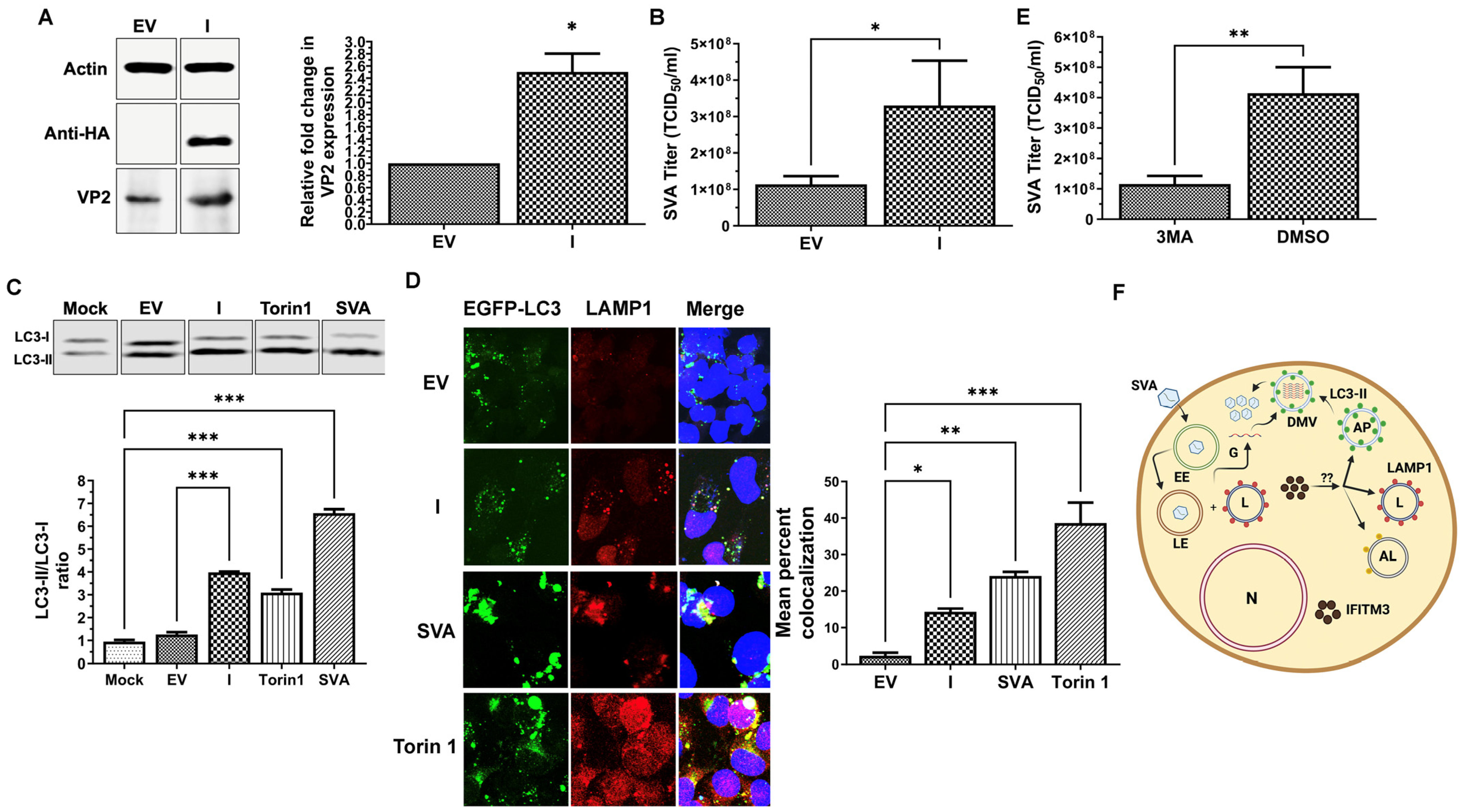 Pathogens 13 00290 g002